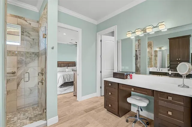 a view of a backyard with plants