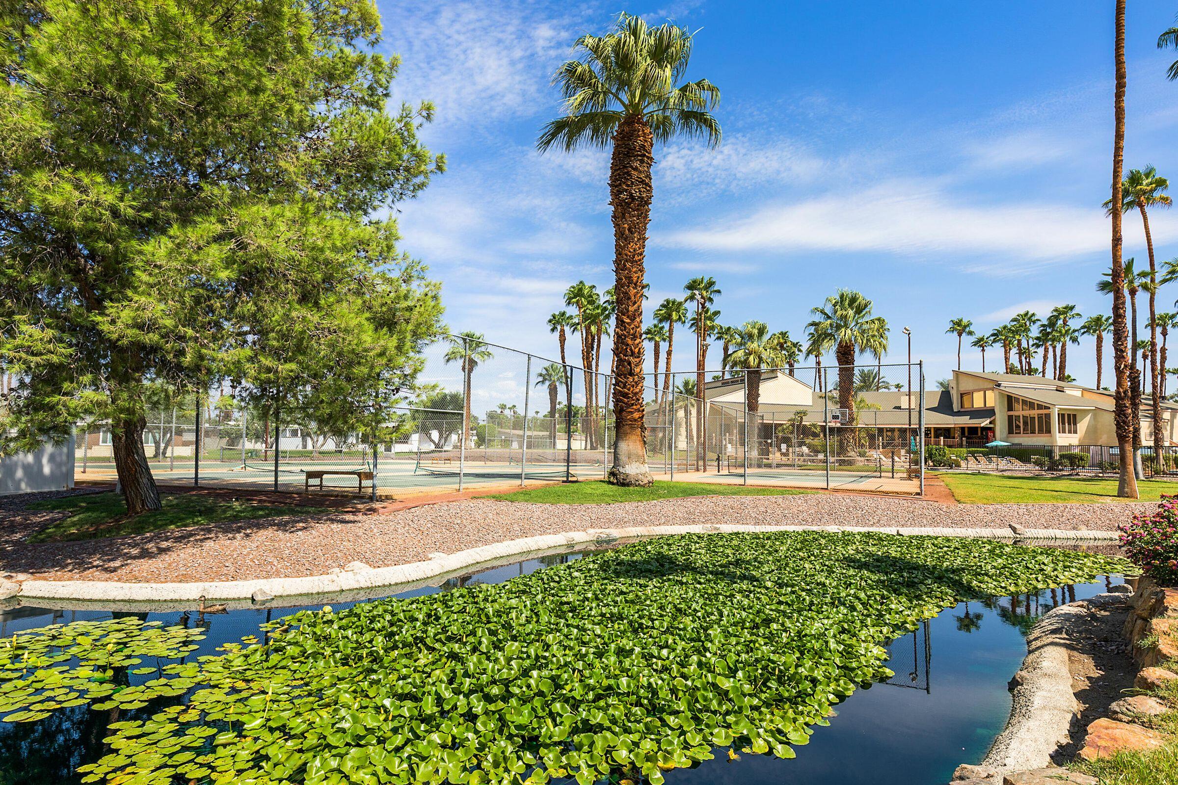 149 Capri Street Rancho Mirage, CA 92270 - Photo 32 of 50 a view of a yard with a fountain