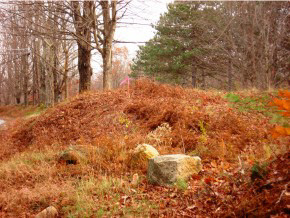 Lot 1-0 Allens Mill Road Gilmanton, NH 03237 - Photo 14 of 15