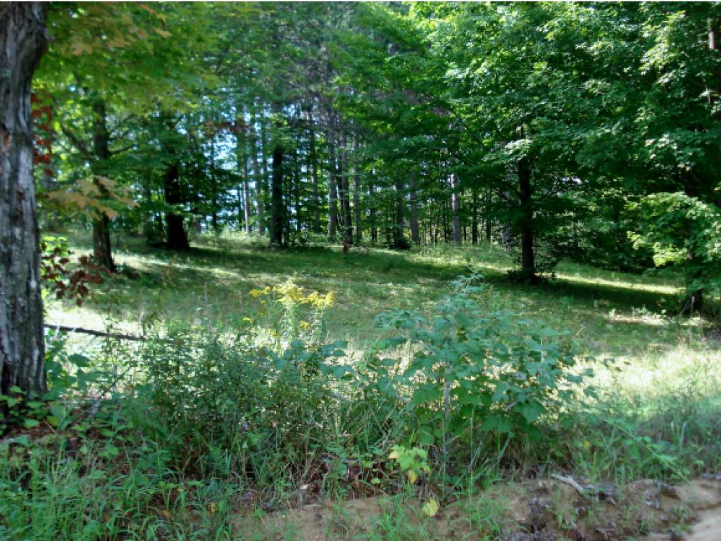 Lot 1-0 Allens Mill Road Gilmanton, NH 03237 - Photo 3 of 15