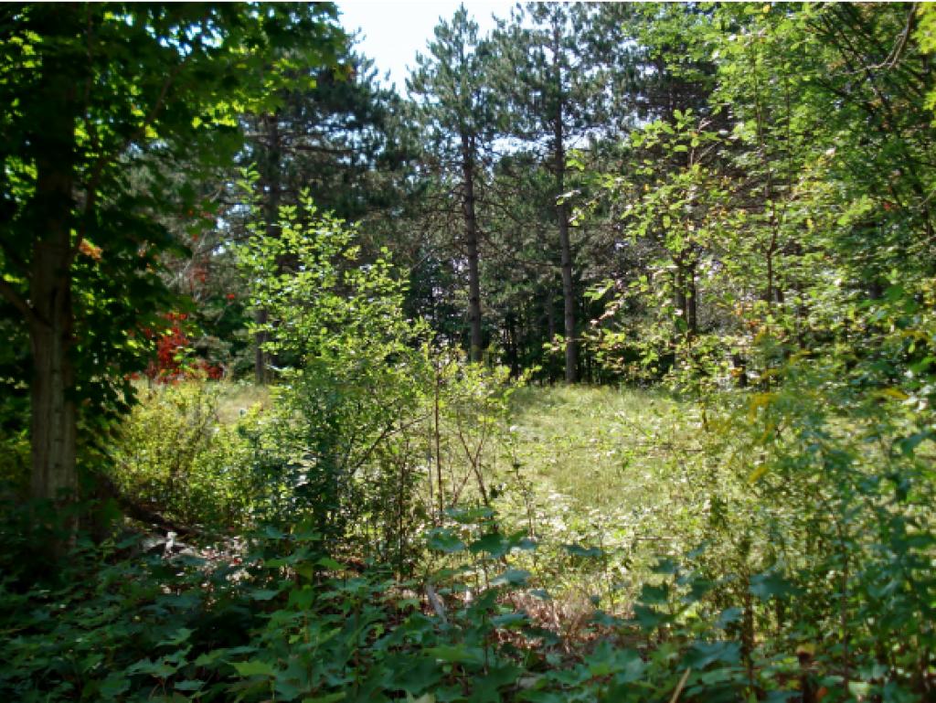 Lot 1-0 Allens Mill Road Gilmanton, NH 03237 - Photo 4 of 15