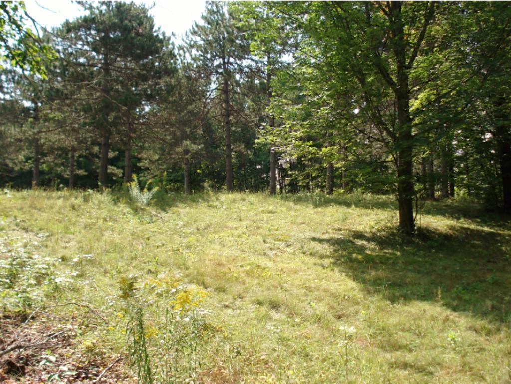 Lot 1-0 Allens Mill Road Gilmanton, NH 03237 - Photo 5 of 15