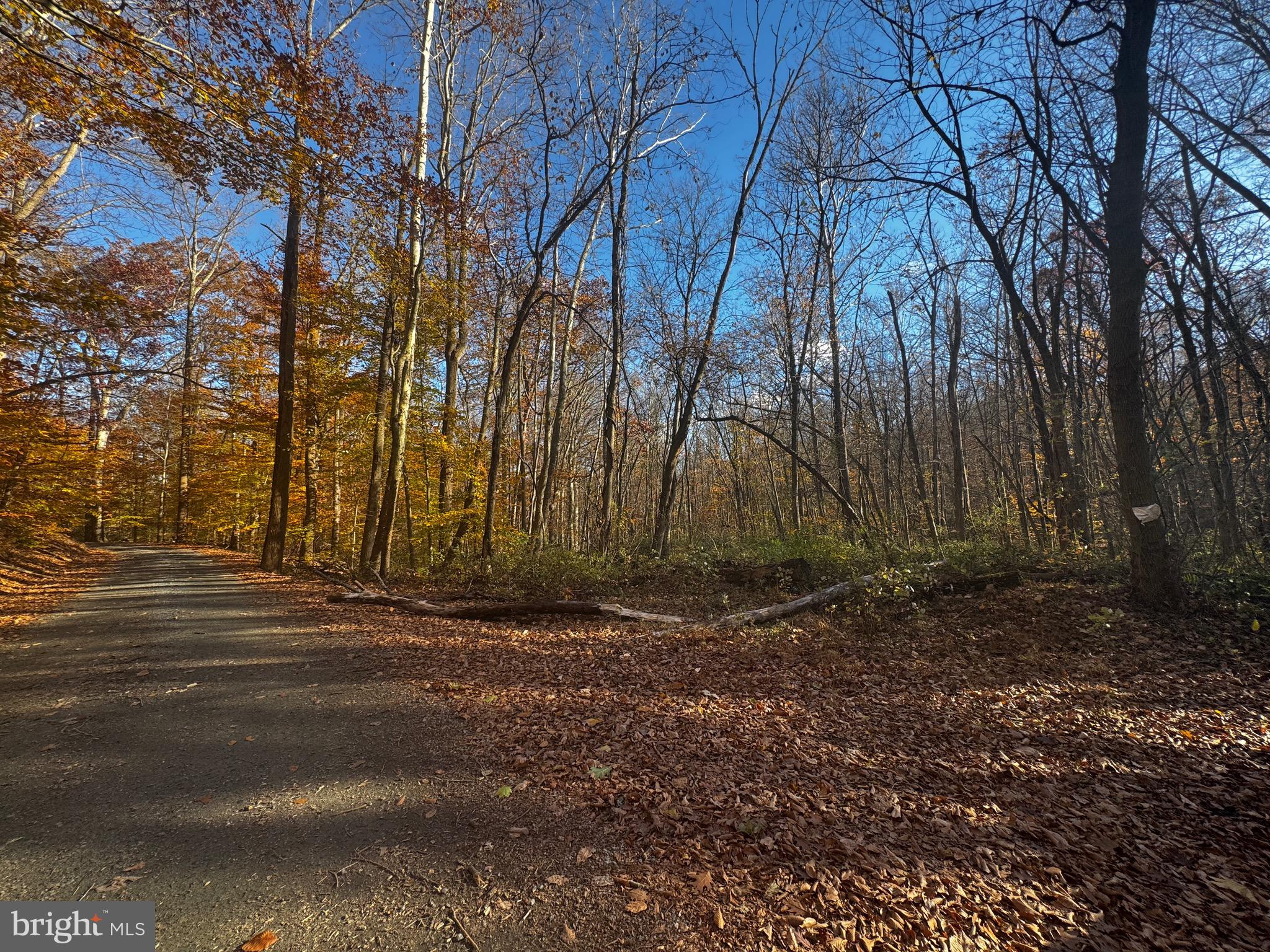 749 Gilbert Road Aberdeen, MD 21001 - Photo 3 of 8 a backyard of a house with lots of green space