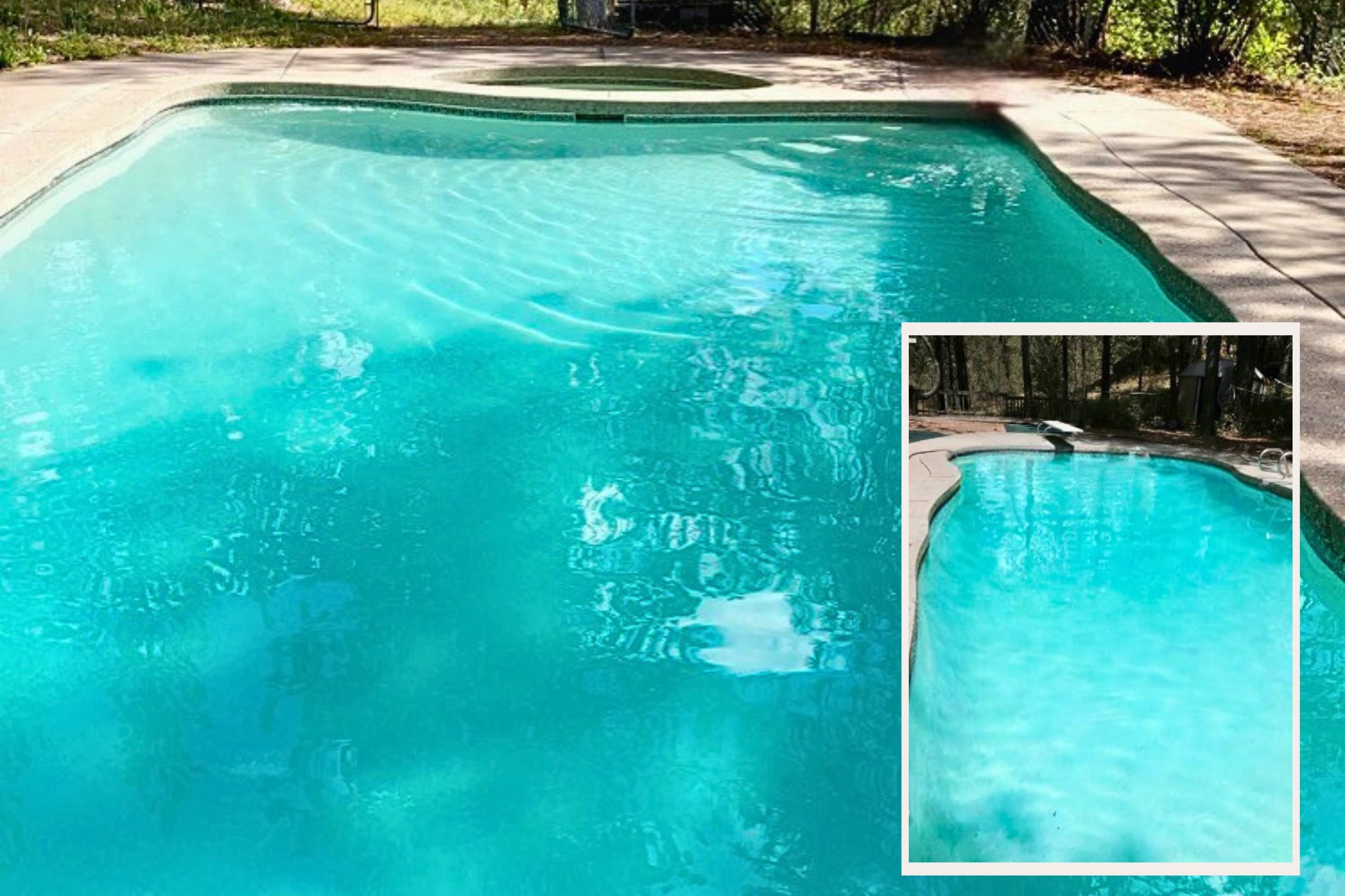 32302 North Hardesty Road Chattaroy, WA 99003 - Photo 42 of 50