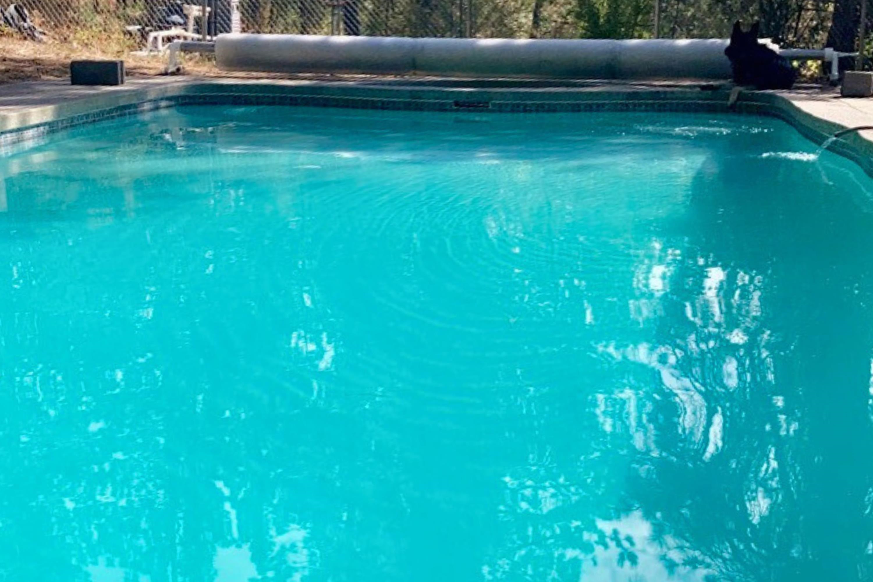 32302 North Hardesty Road Chattaroy, WA 99003 - Photo 43 of 50