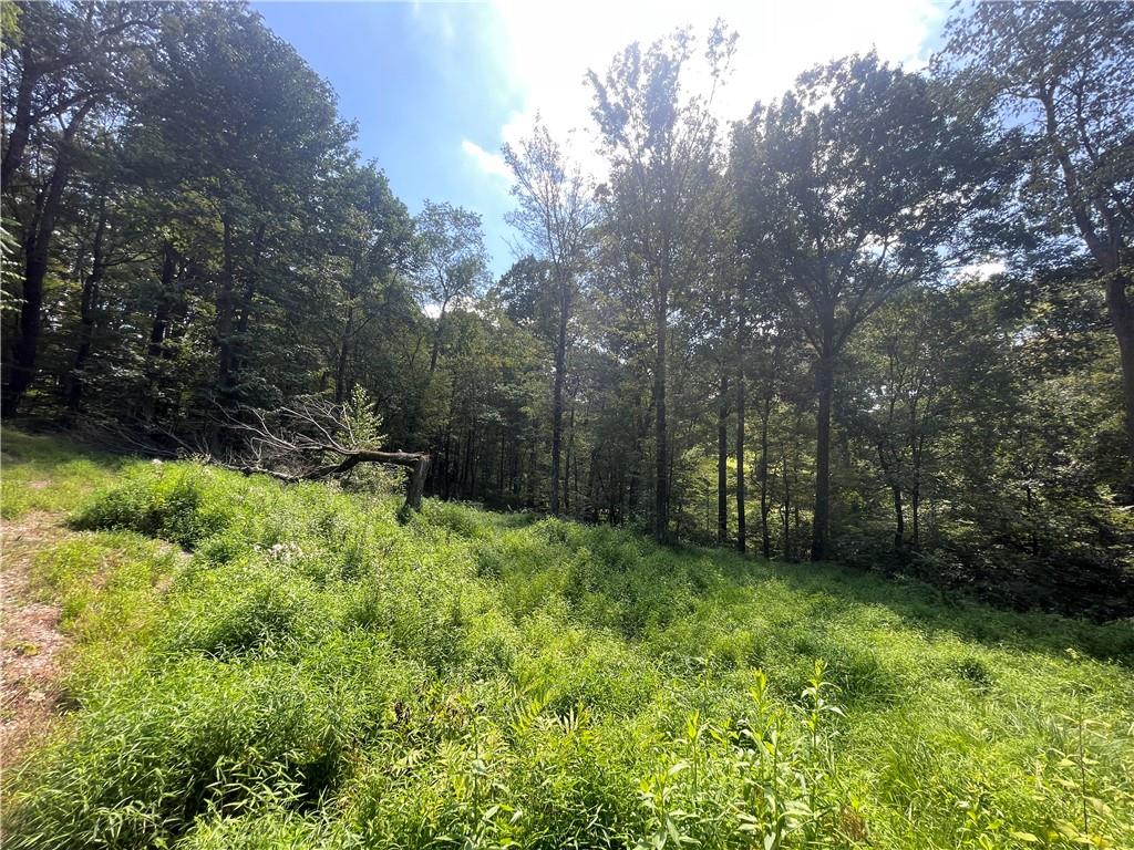 46 Simon Road Cheswick, PA 15024 - Photo 11 of 19 a backyard of a house with lots of green space