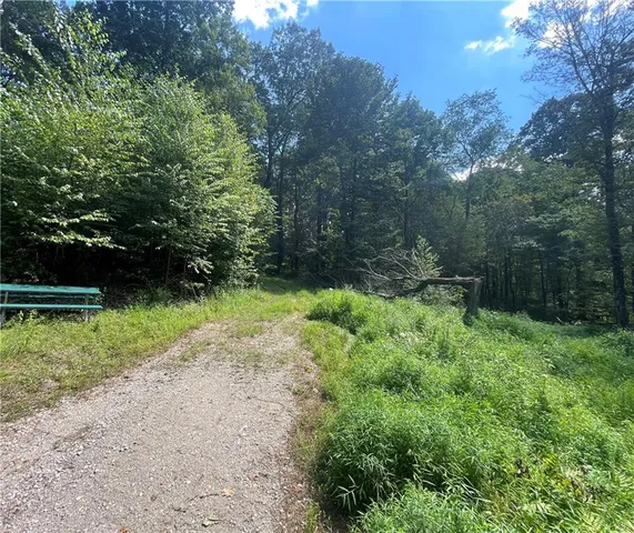 a view of backyard with green space