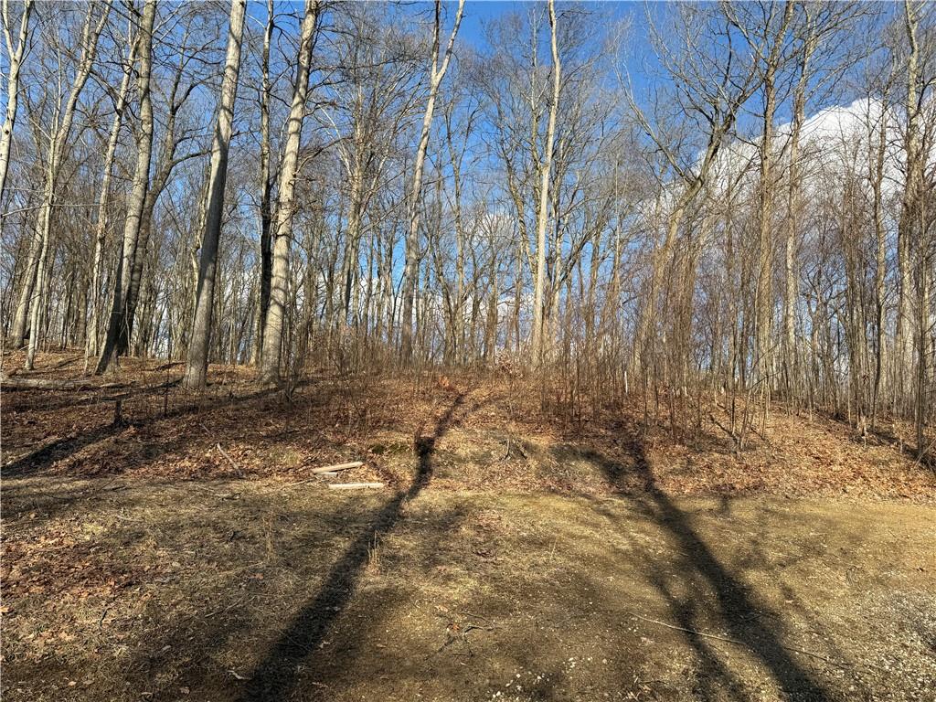46 Simon Road Cheswick, PA 15024 - Photo 12 of 32 a view of space with wooden fence