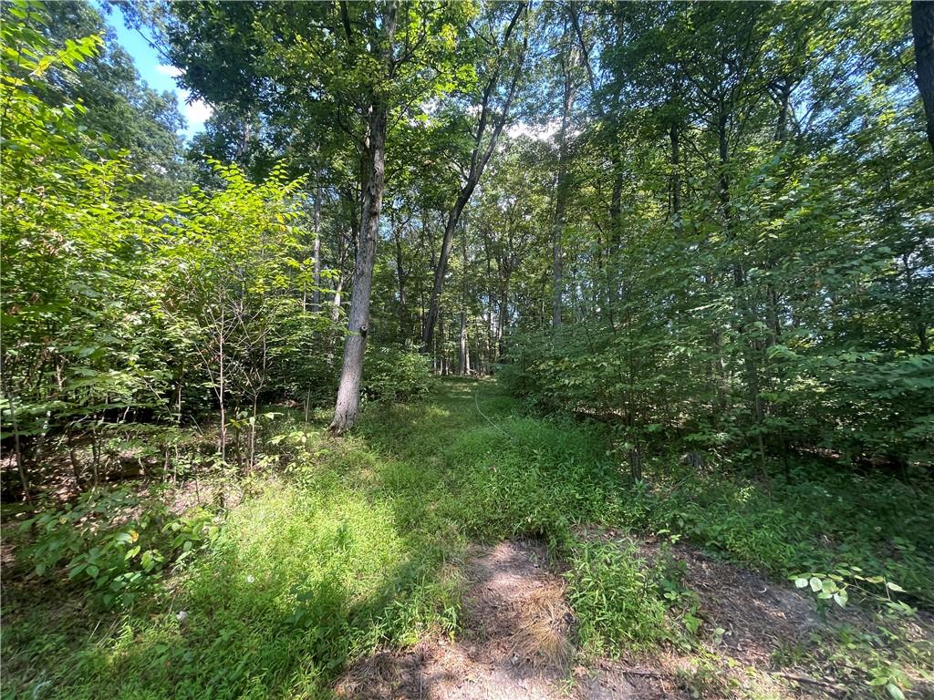 46 Simon Road Cheswick, PA 15024 - Photo 13 of 19 a view of a forest with trees in the background