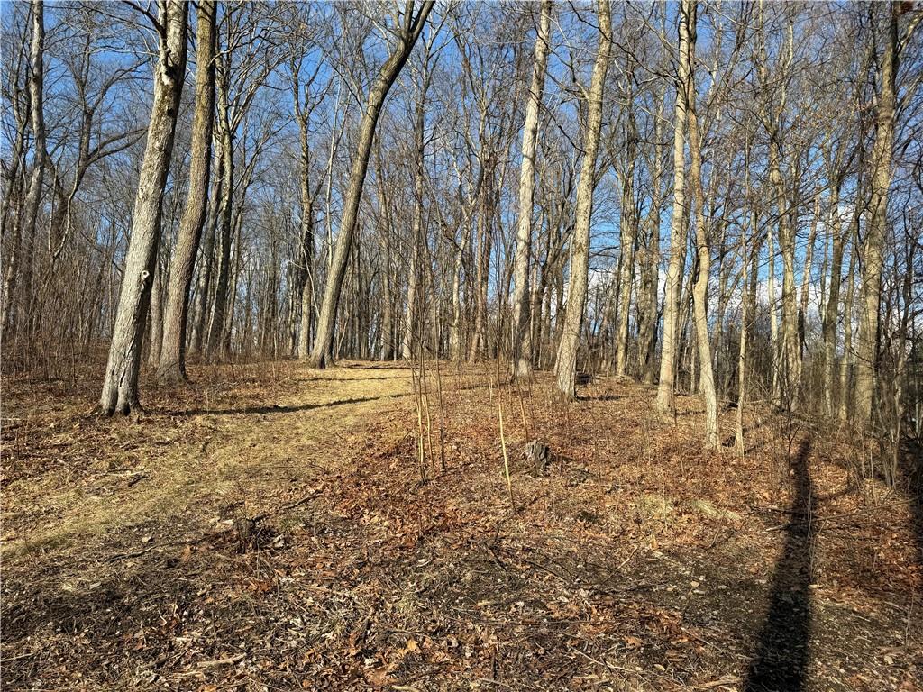 46 Simon Road Cheswick, PA 15024 - Photo 13 of 32 a view of backyard space with large trees