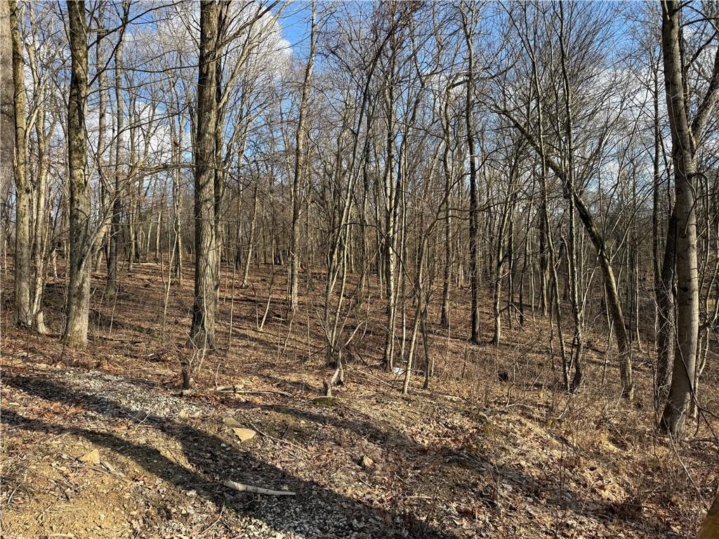 46 Simon Road Cheswick, PA 15024 - Photo 15 of 32 a view of outdoor space with green space