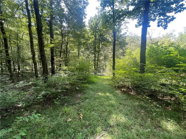 a view of outdoor space and green space