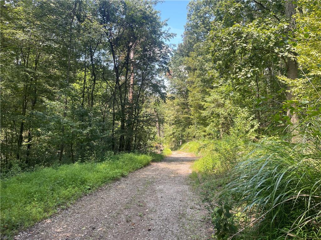 46 Simon Road Cheswick, PA 15024 - Photo 18 of 32 a view of a yard with a trees