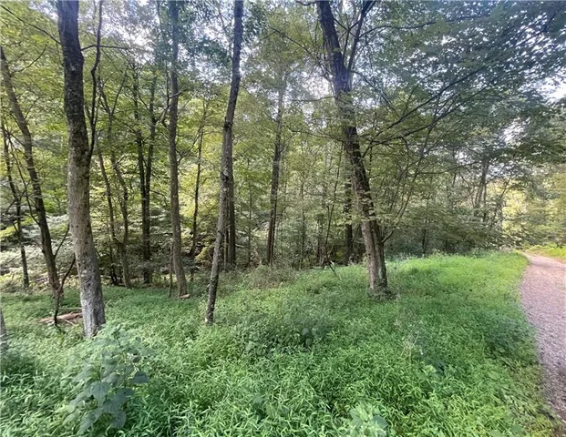 a green field with lots of trees
