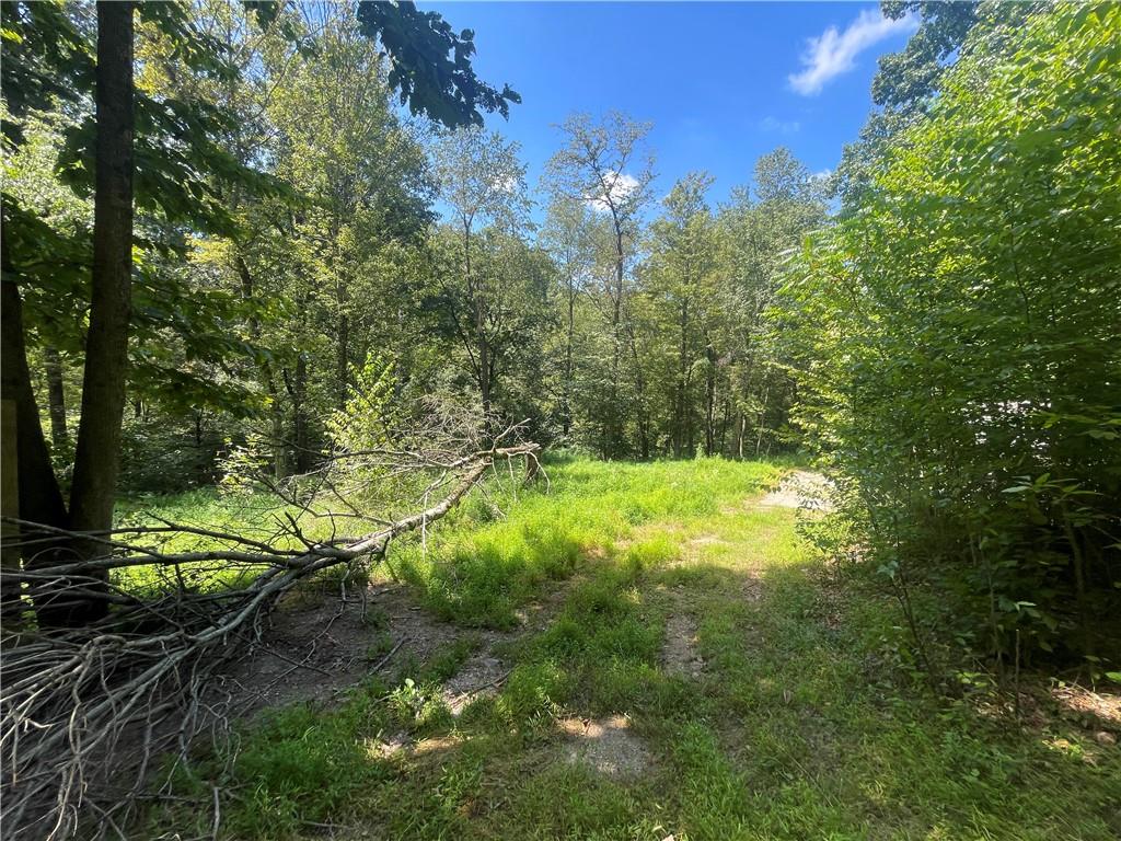 46 Simon Road Cheswick, PA 15024 - Photo 21 of 32 a view of a yard with plants and large trees