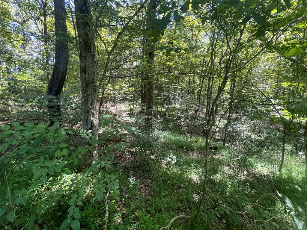 46 Simon Road Cheswick, PA 15024 - Photo 22 of 32 a view of forest