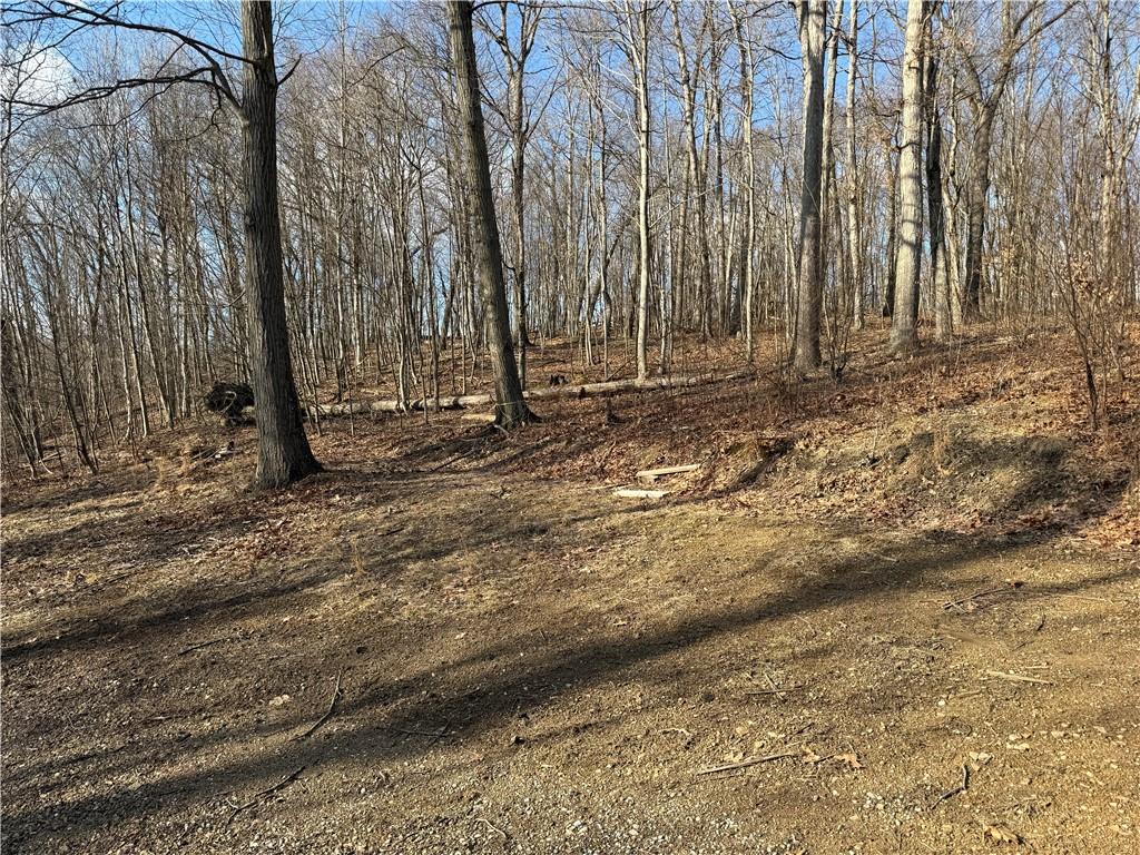 46 Simon Road Cheswick, PA 15024 - Photo 23 of 32 a view of a backyard of the house