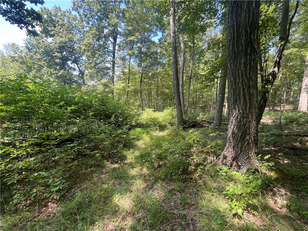 46 Simon Road Cheswick, PA 15024 - Photo 24 of 32 a view of outdoor space and trees