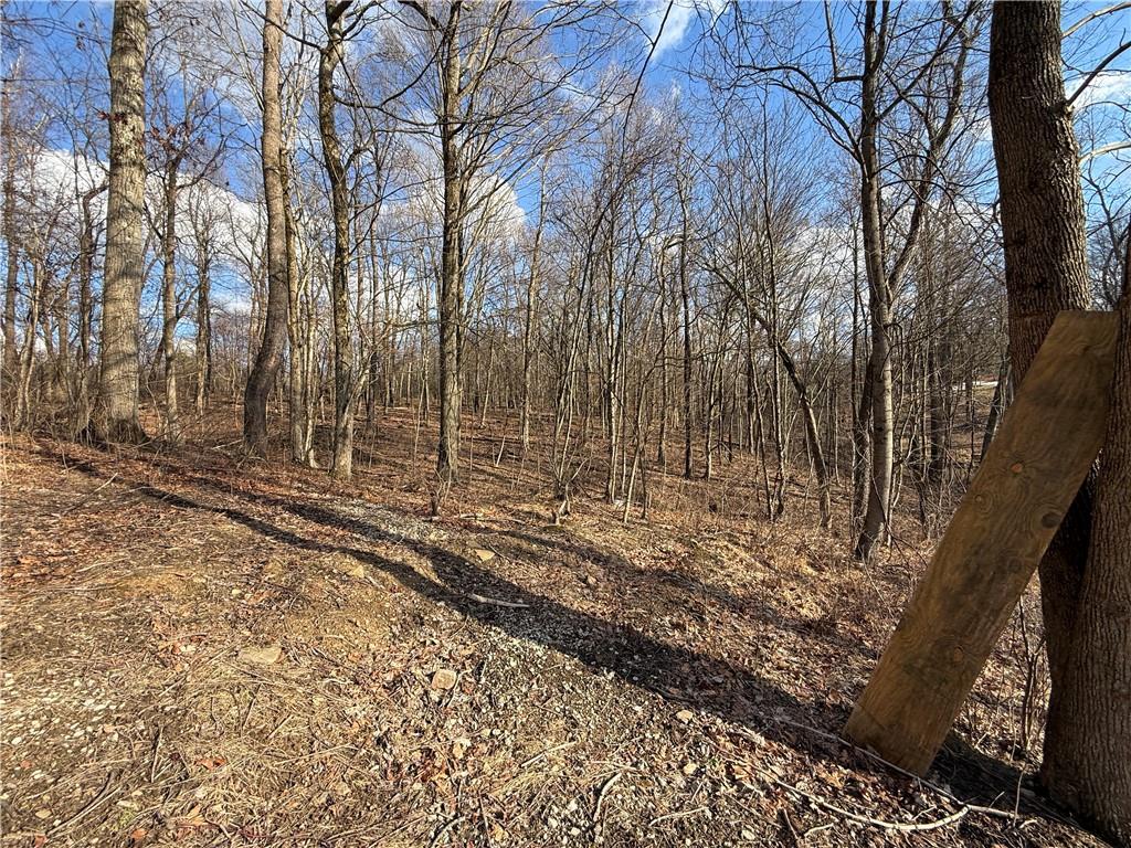 46 Simon Road Cheswick, PA 15024 - Photo 27 of 32 a view of a yard with wooden fence