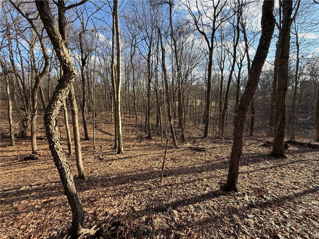 46 Simon Road Cheswick, PA 15024 - Photo 29 of 32 a backyard of a house with lots of green space