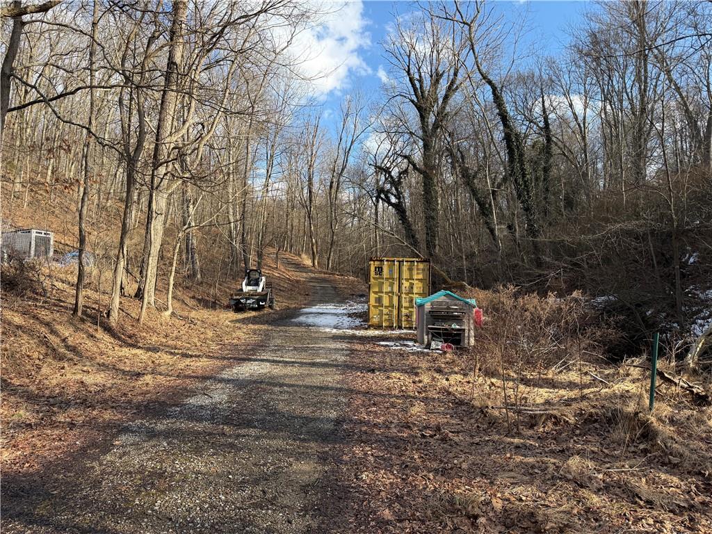 46 Simon Road Cheswick, PA 15024 - Photo 5 of 32 a view of a park with large trees