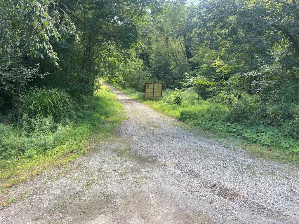 46 Simon Road Cheswick, PA 15024 - Photo 6 of 32 a view of a yard with a tree