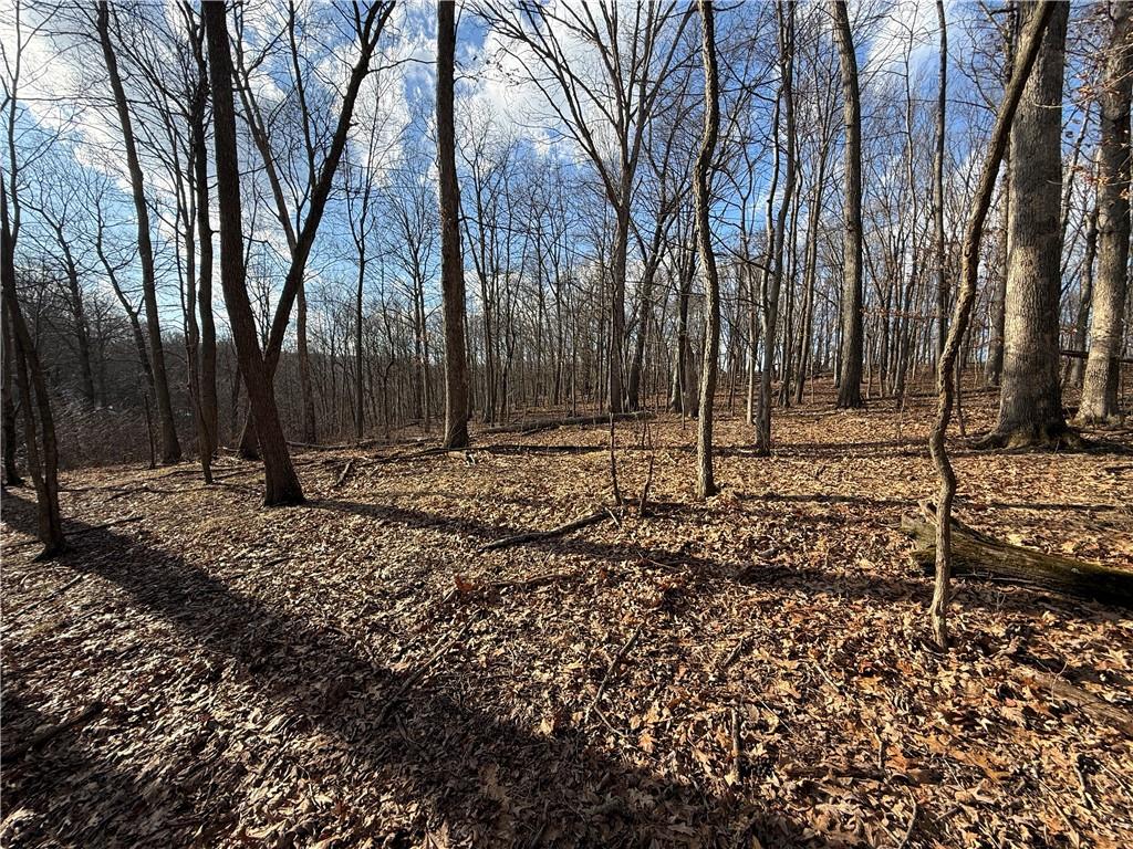 46 Simon Road Cheswick, PA 15024 - Photo 7 of 32 a backyard of a house with lots of green space
