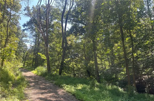 a backyard of a house with lots of green space