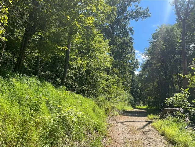 a view of outdoor space and yard