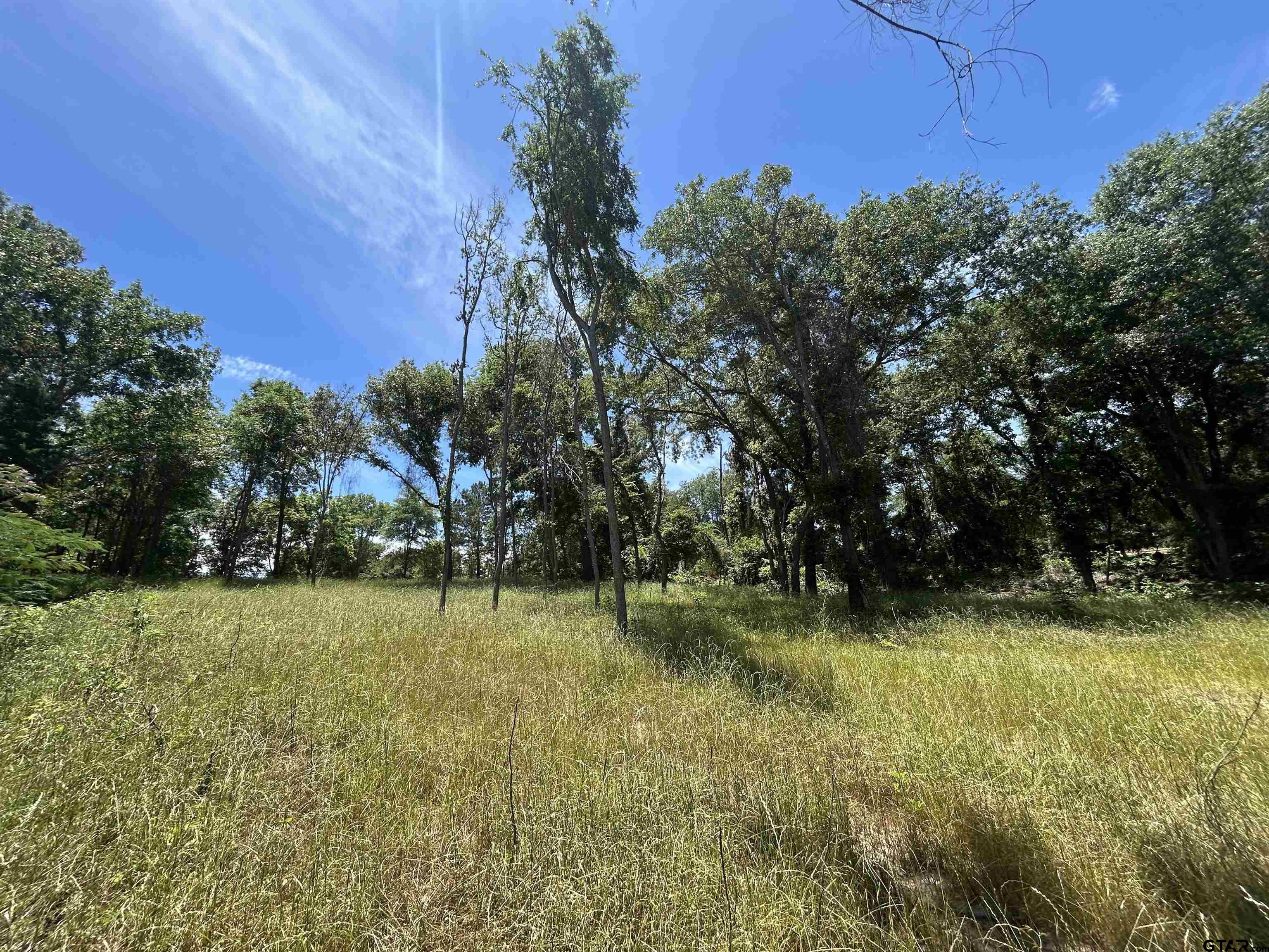 Lot Tr Stevenson Road Frankston, TX 75763 - Photo 11 of 38 a view of a garden