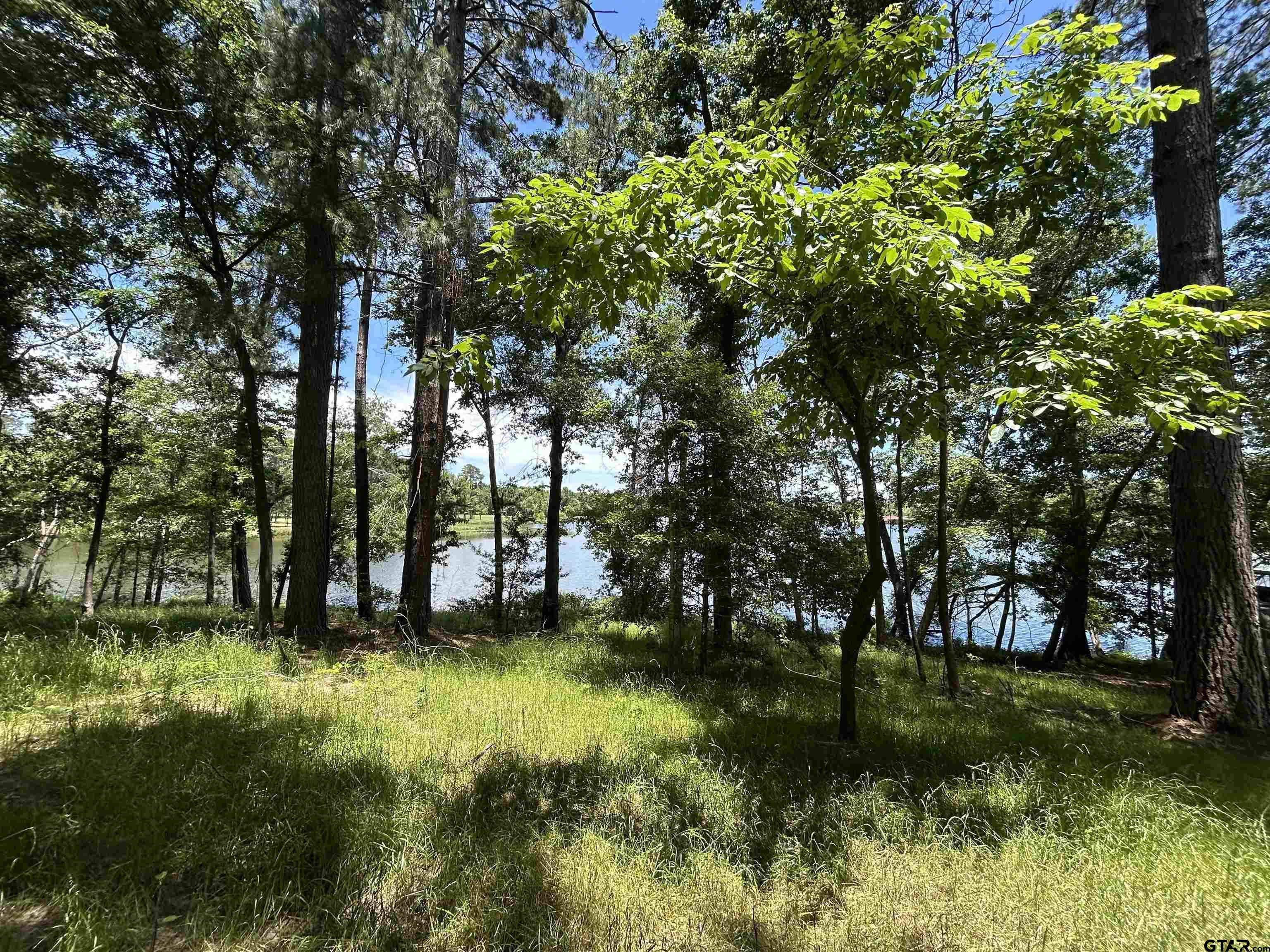 Lot Tr Stevenson Road Frankston, TX 75763 - Photo 12 of 38 a view of swimming pool with a yard