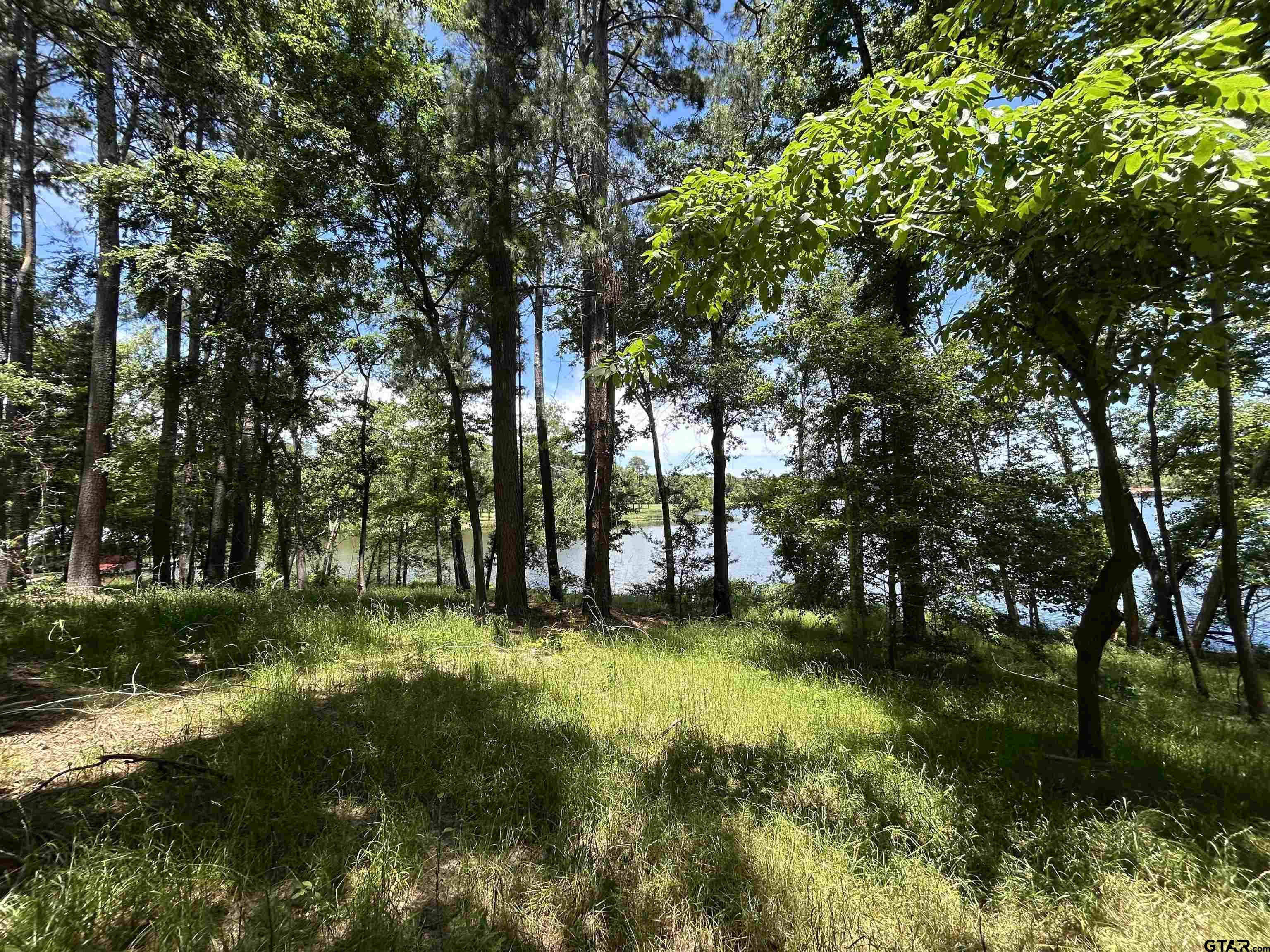 Lot Tr Stevenson Road Frankston, TX 75763 - Photo 13 of 38 a view of swimming pool with a yard