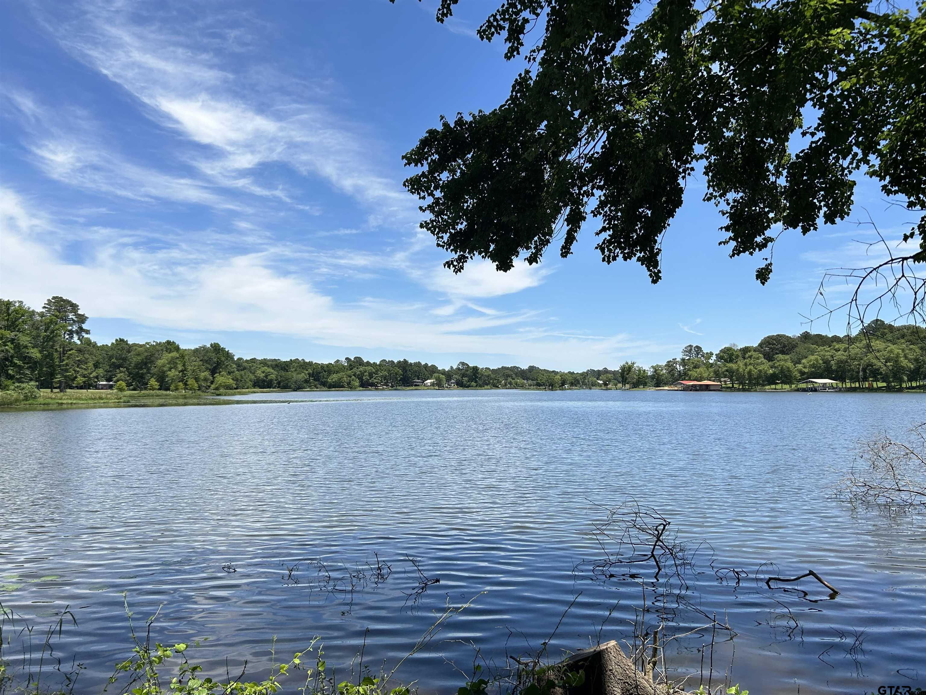 Lot Tr Stevenson Road Frankston, TX 75763 - Photo 14 of 38 a view of a lake from a yard