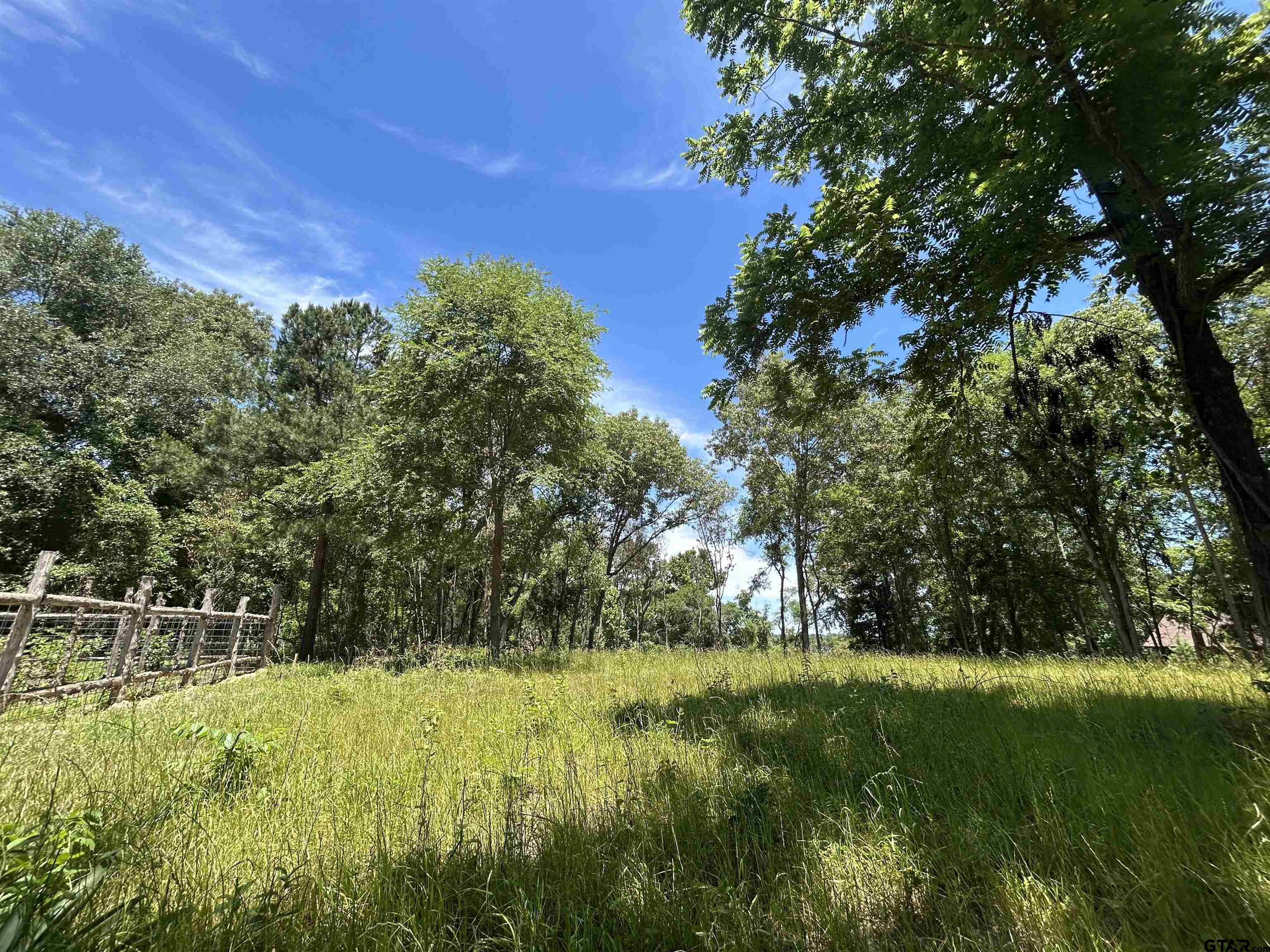 Lot Tr Stevenson Road Frankston, TX 75763 - Photo 17 of 38 a view of a yard