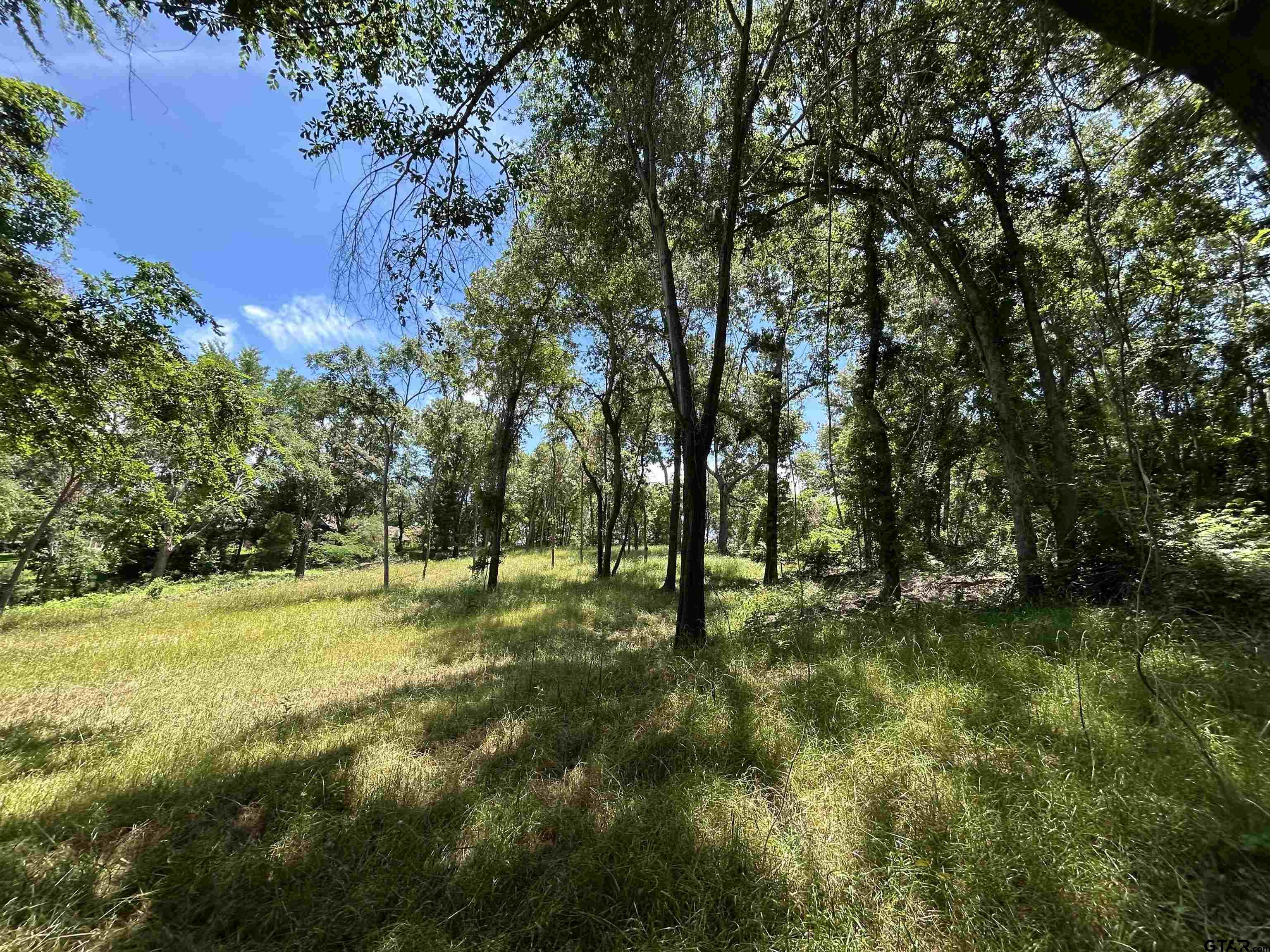 Lot Tr Stevenson Road Frankston, TX 75763 - Photo 18 of 38 a view of a trees with a yard