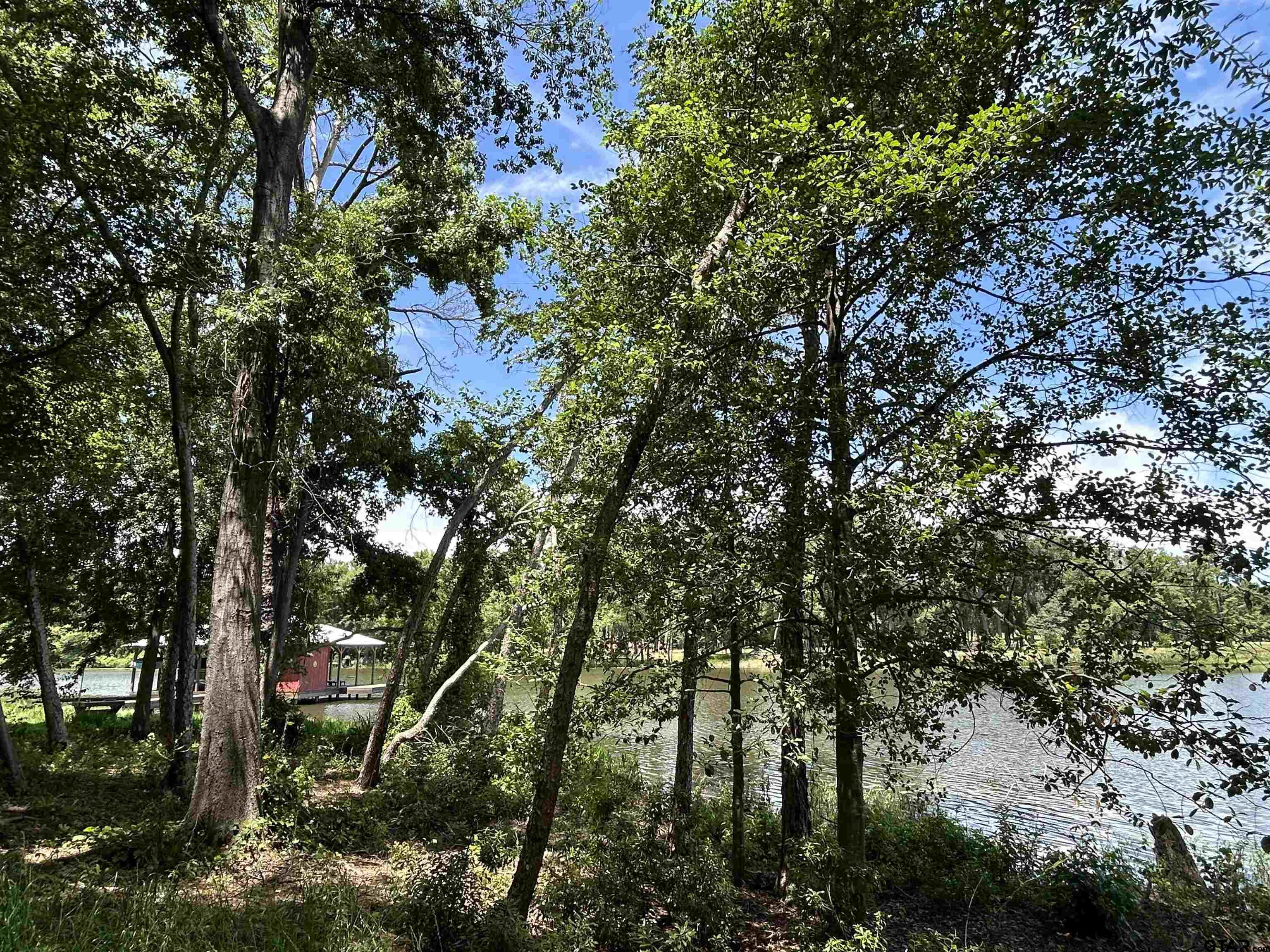 Lot Tr Stevenson Road Frankston, TX 75763 - Photo 19 of 38 a view of a city with lush green forest
