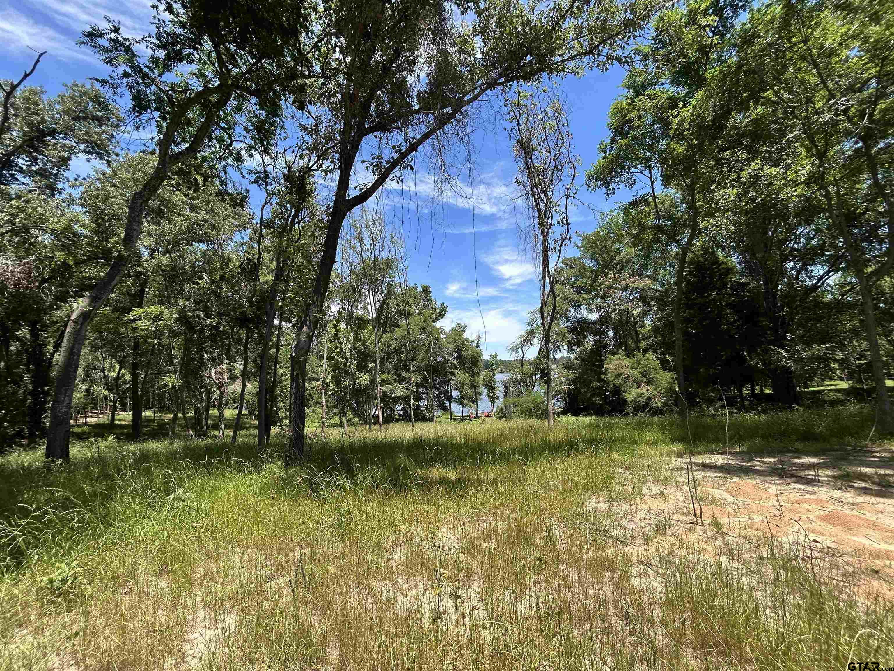 Lot Tr Stevenson Road Frankston, TX 75763 - Photo 21 of 38 a view of outdoor space