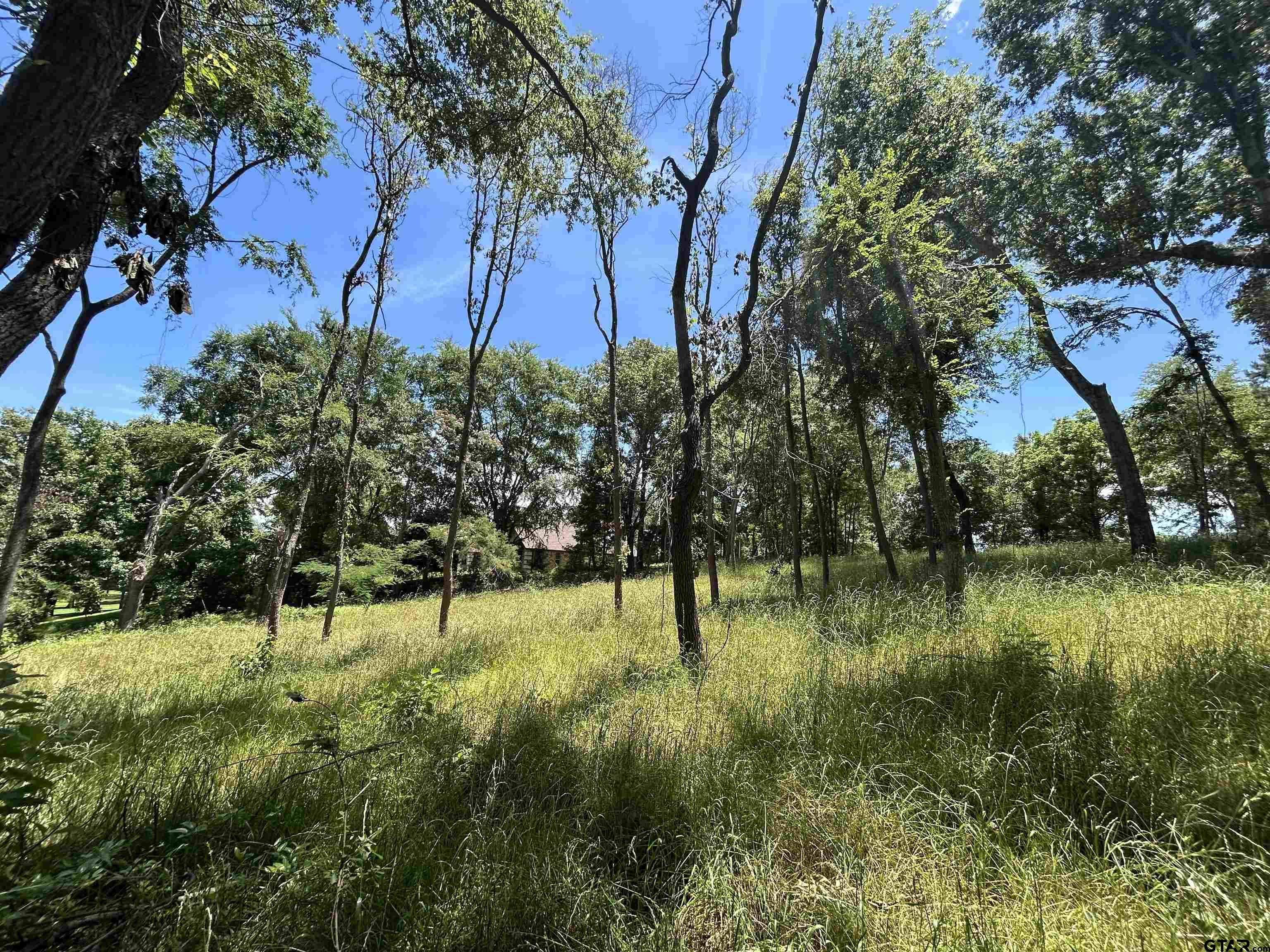 Lot Tr Stevenson Road Frankston, TX 75763 - Photo 22 of 38 a view of yard with green space