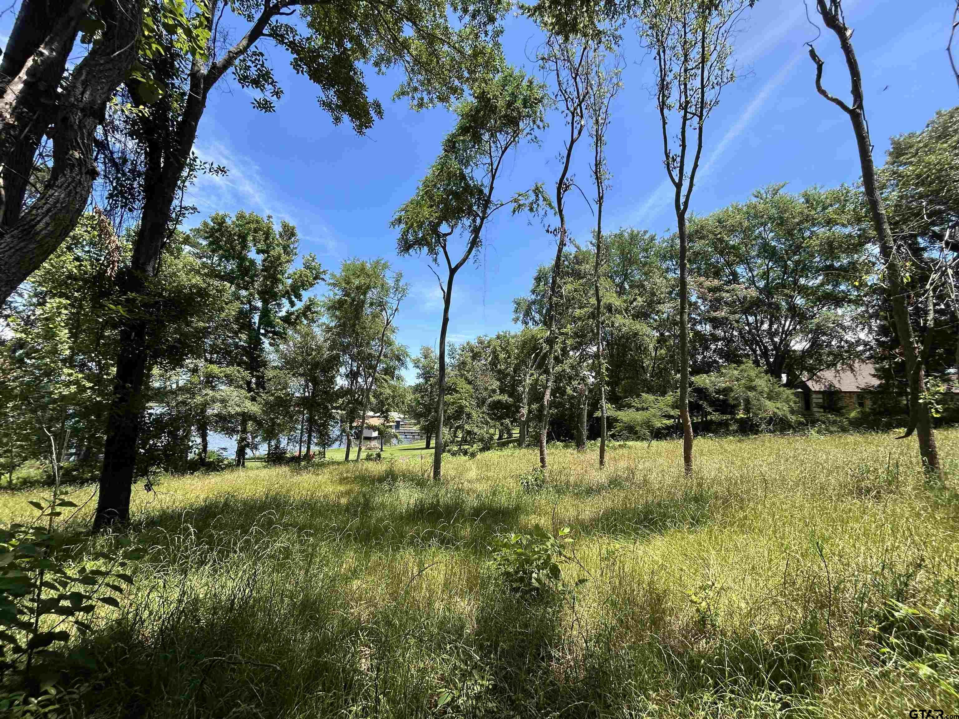 Lot Tr Stevenson Road Frankston, TX 75763 - Photo 23 of 38 a view of yard with green space