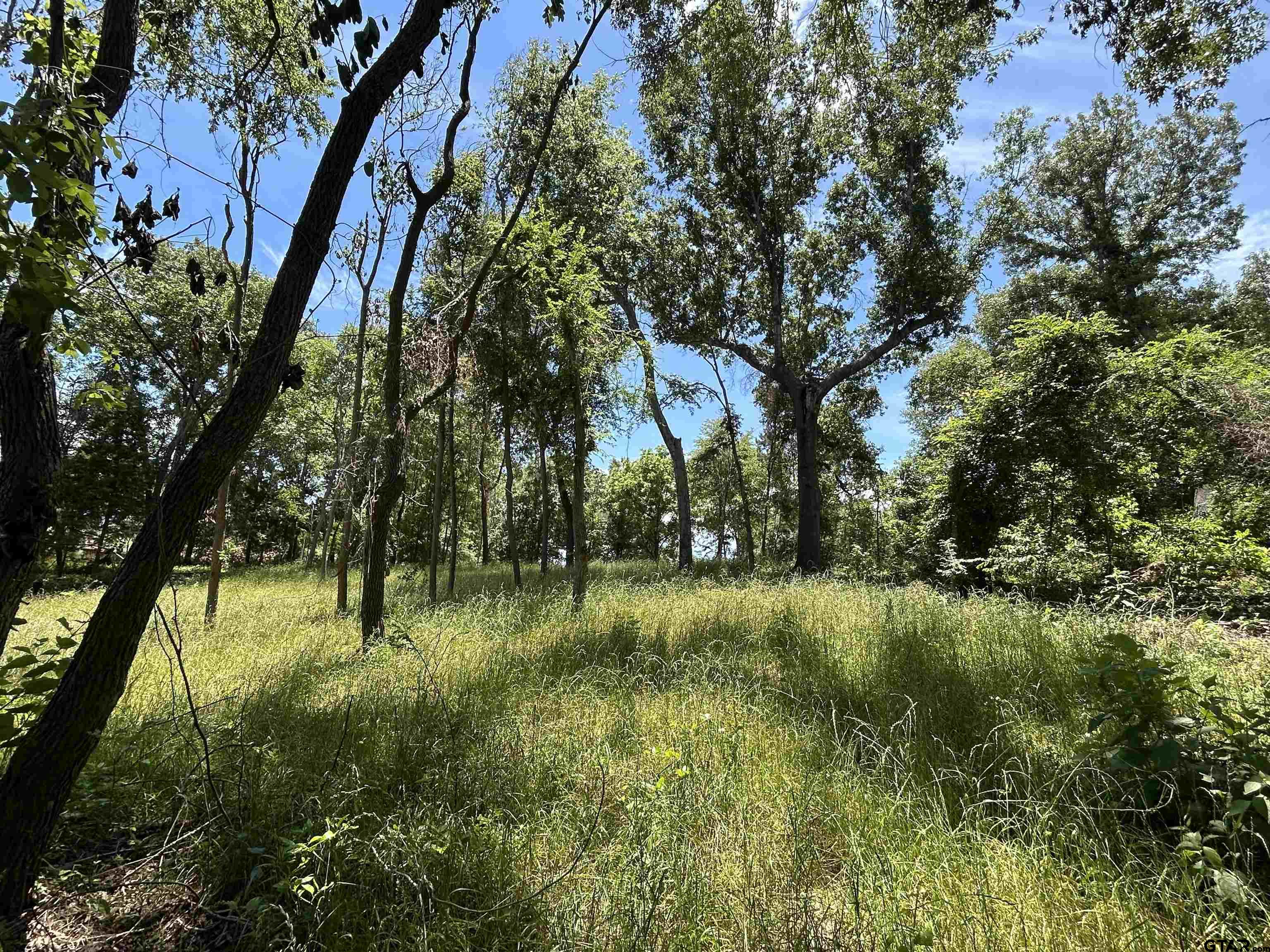 Lot Tr Stevenson Road Frankston, TX 75763 - Photo 24 of 38 a view of yard