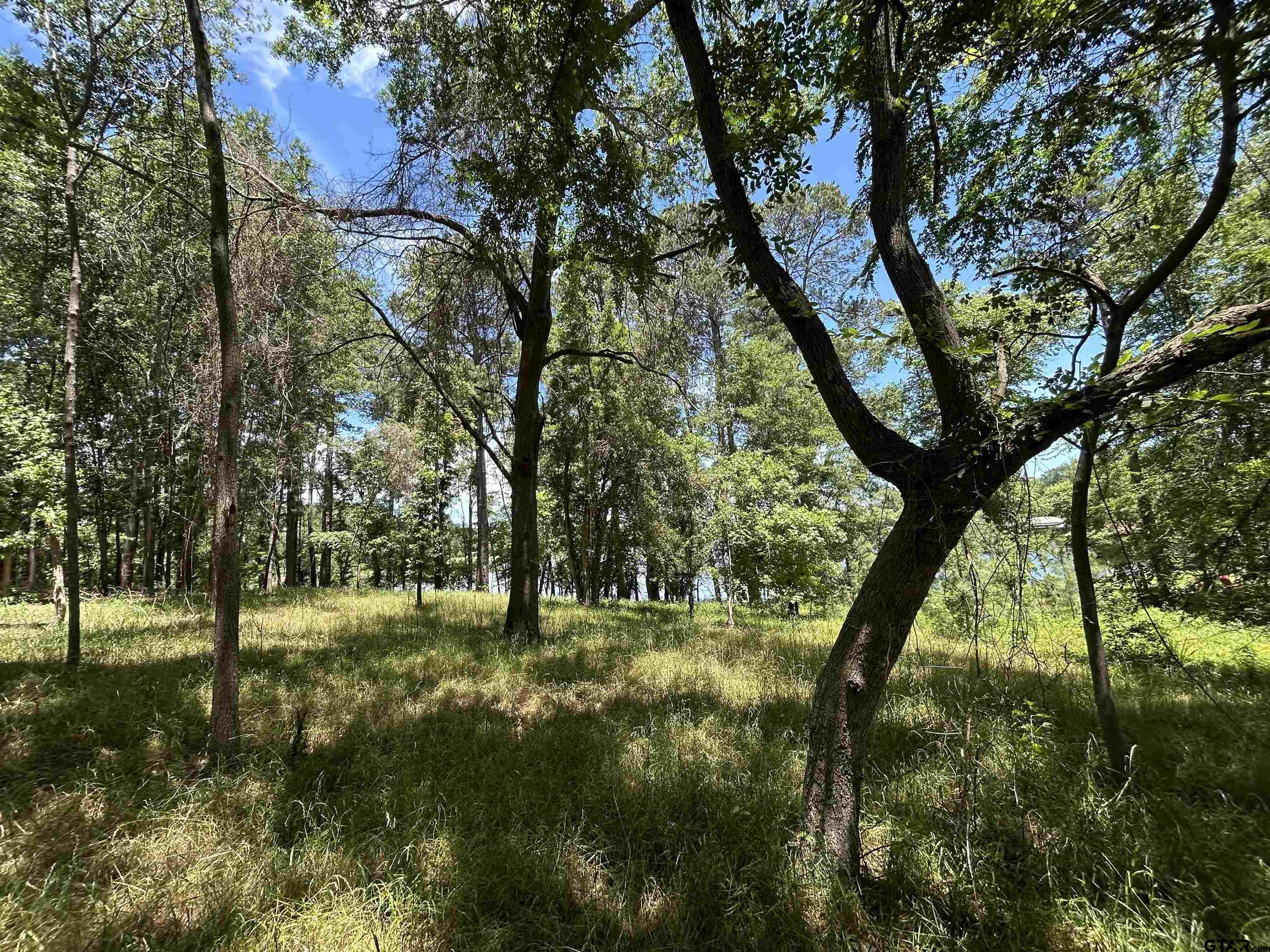 Lot Tr Stevenson Road Frankston, TX 75763 - Photo 25 of 38 a view of outdoor space with deck and yard