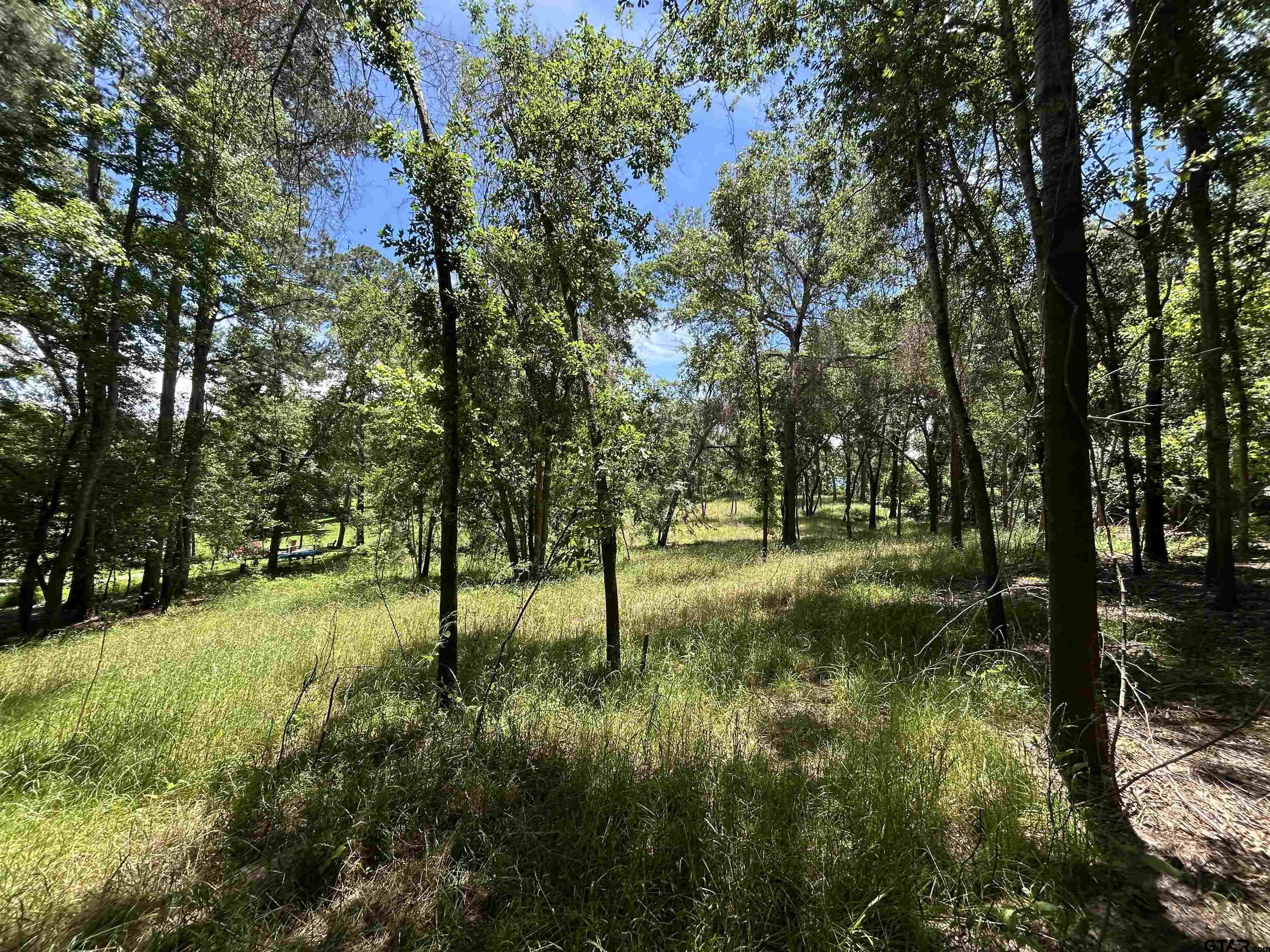 Lot Tr Stevenson Road Frankston, TX 75763 - Photo 26 of 38 a view of yard