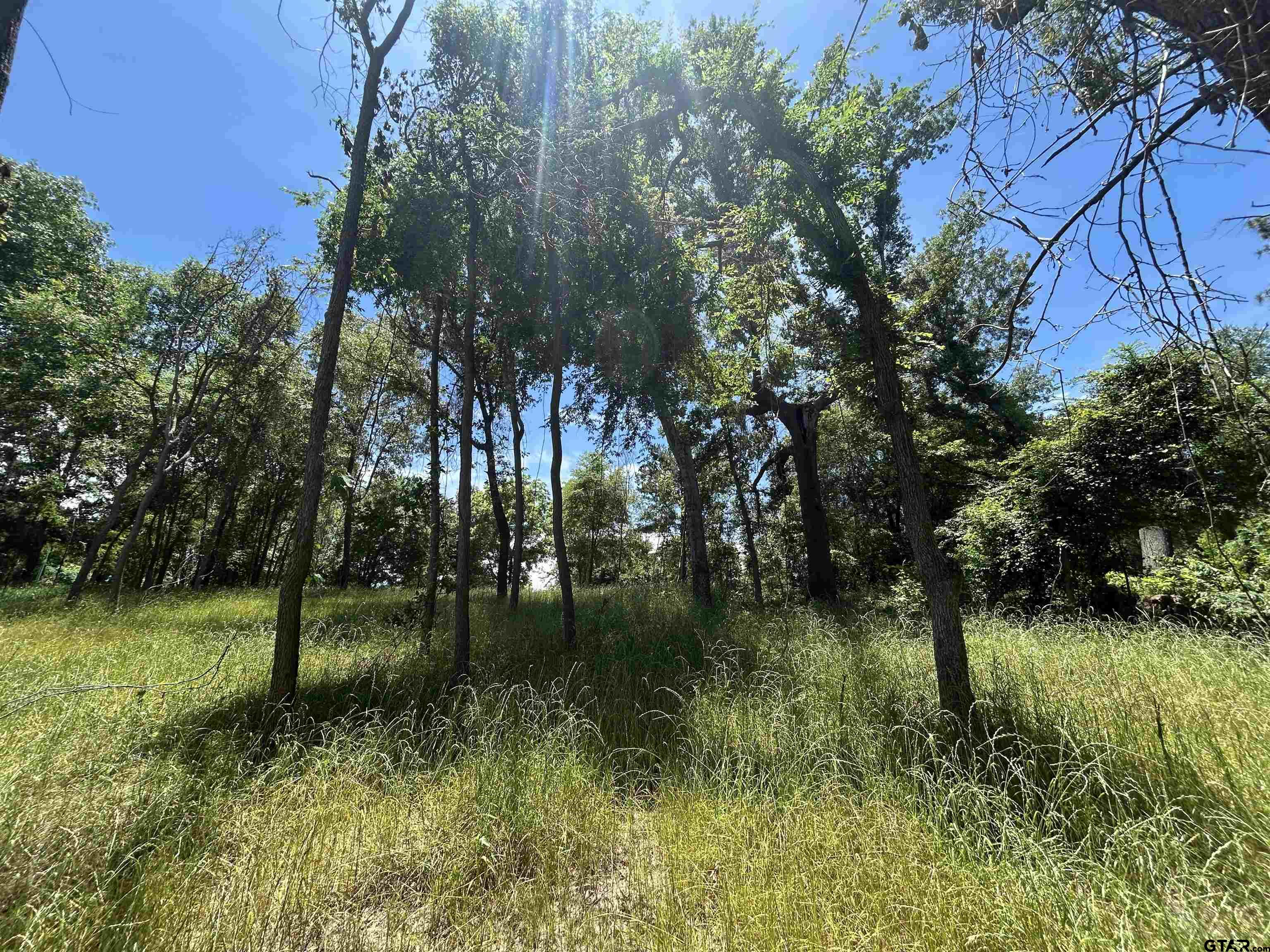 Lot Tr Stevenson Road Frankston, TX 75763 - Photo 30 of 38 a view of yard with green space