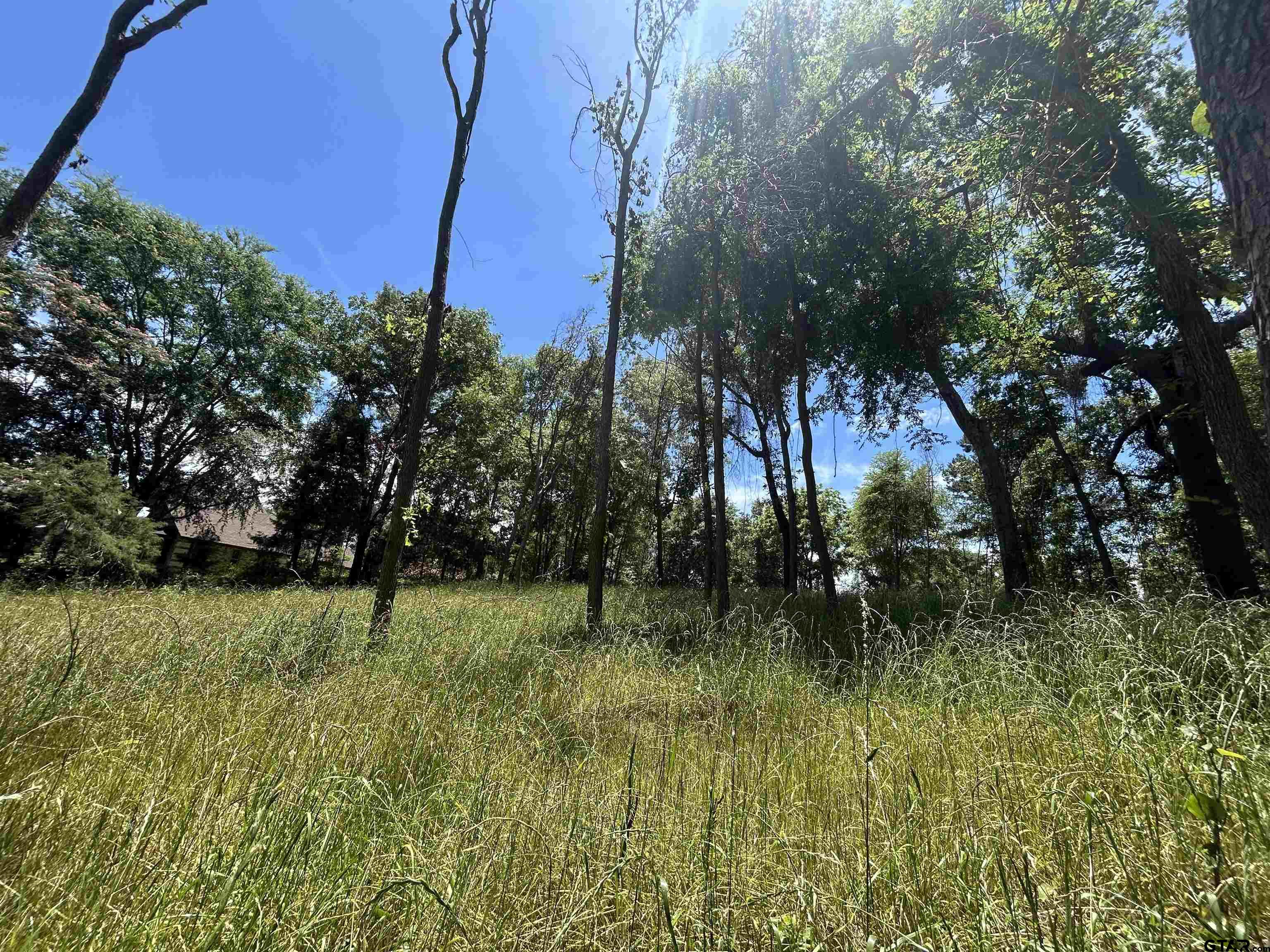 Lot Tr Stevenson Road Frankston, TX 75763 - Photo 33 of 38 a view of backyard with green space