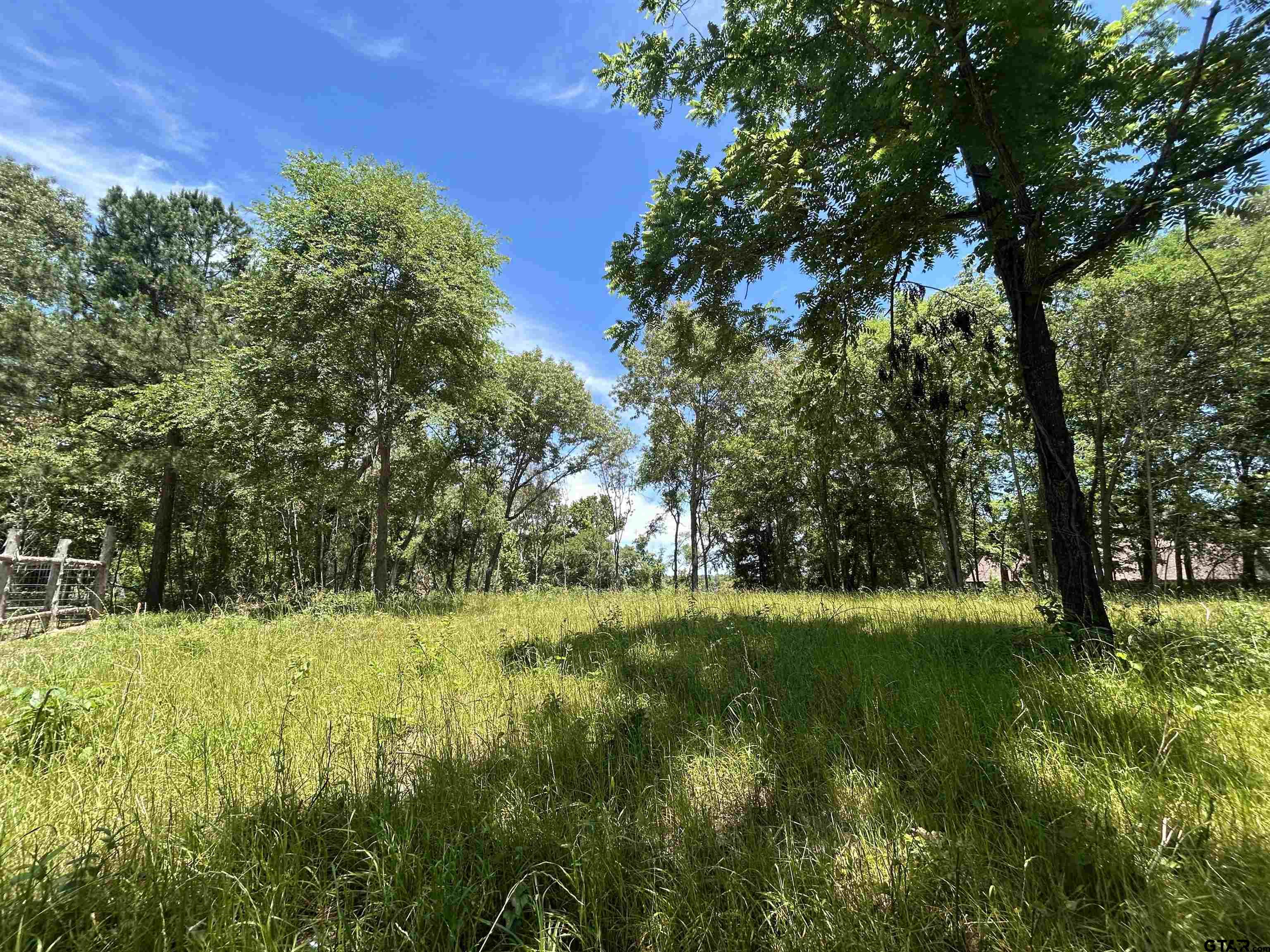 Lot Tr Stevenson Road Frankston, TX 75763 - Photo 35 of 38 a view of outdoor space with a garden