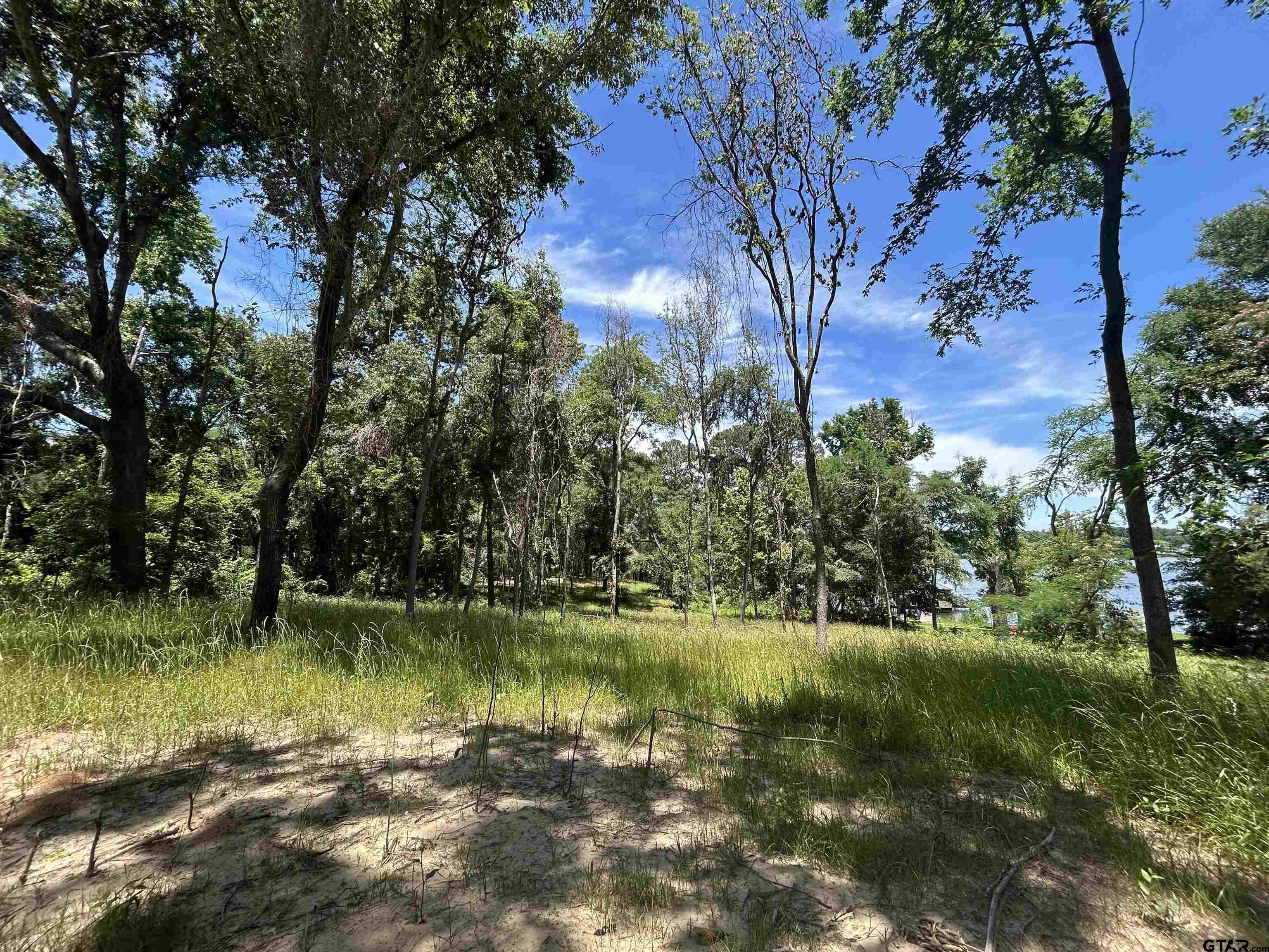 Lot Tr Stevenson Road Frankston, TX 75763 - Photo 36 of 38 a view of a lake with a yard and large trees