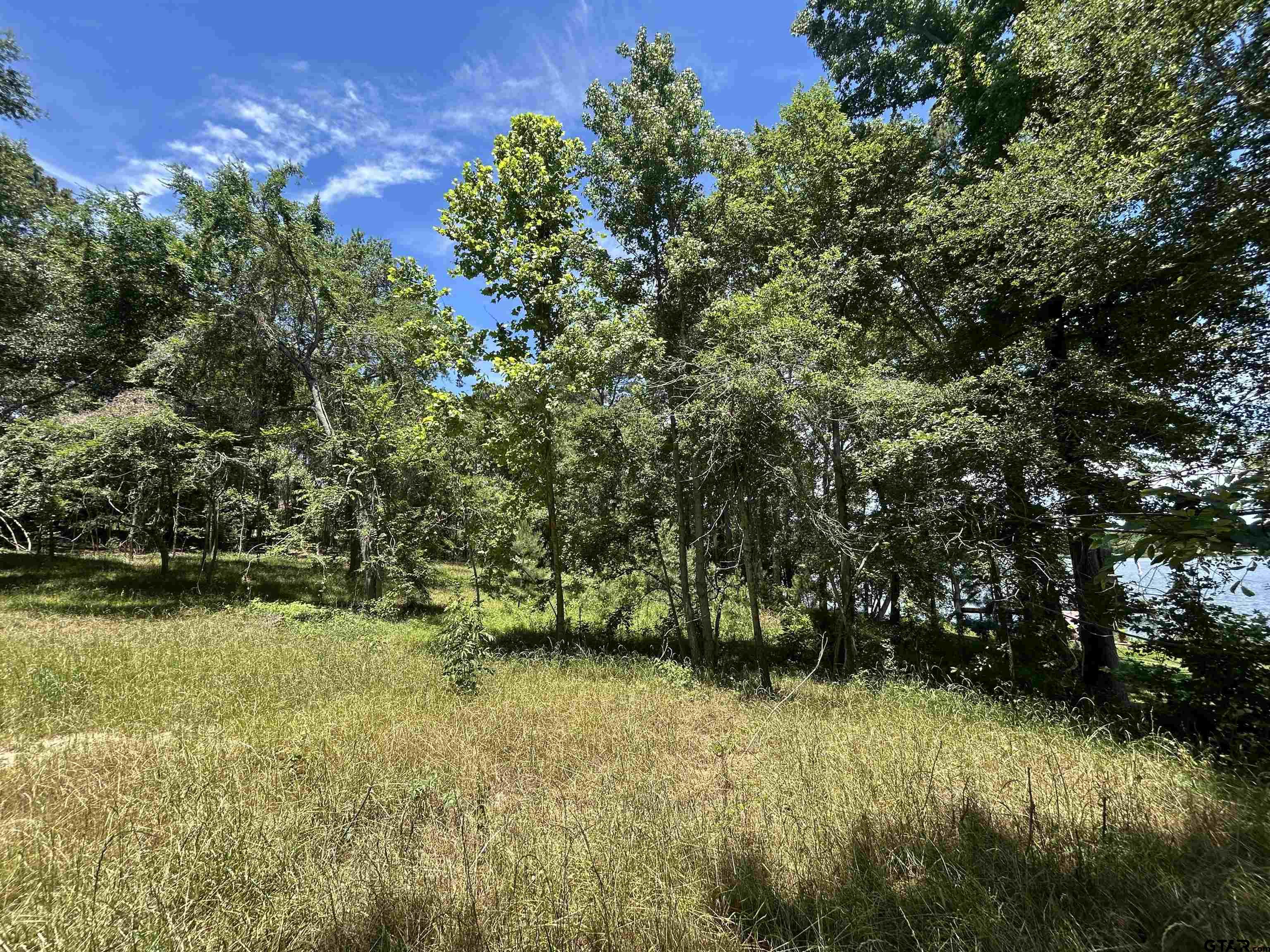 Lot Tr Stevenson Road Frankston, TX 75763 - Photo 4 of 38 a view of yard with green space