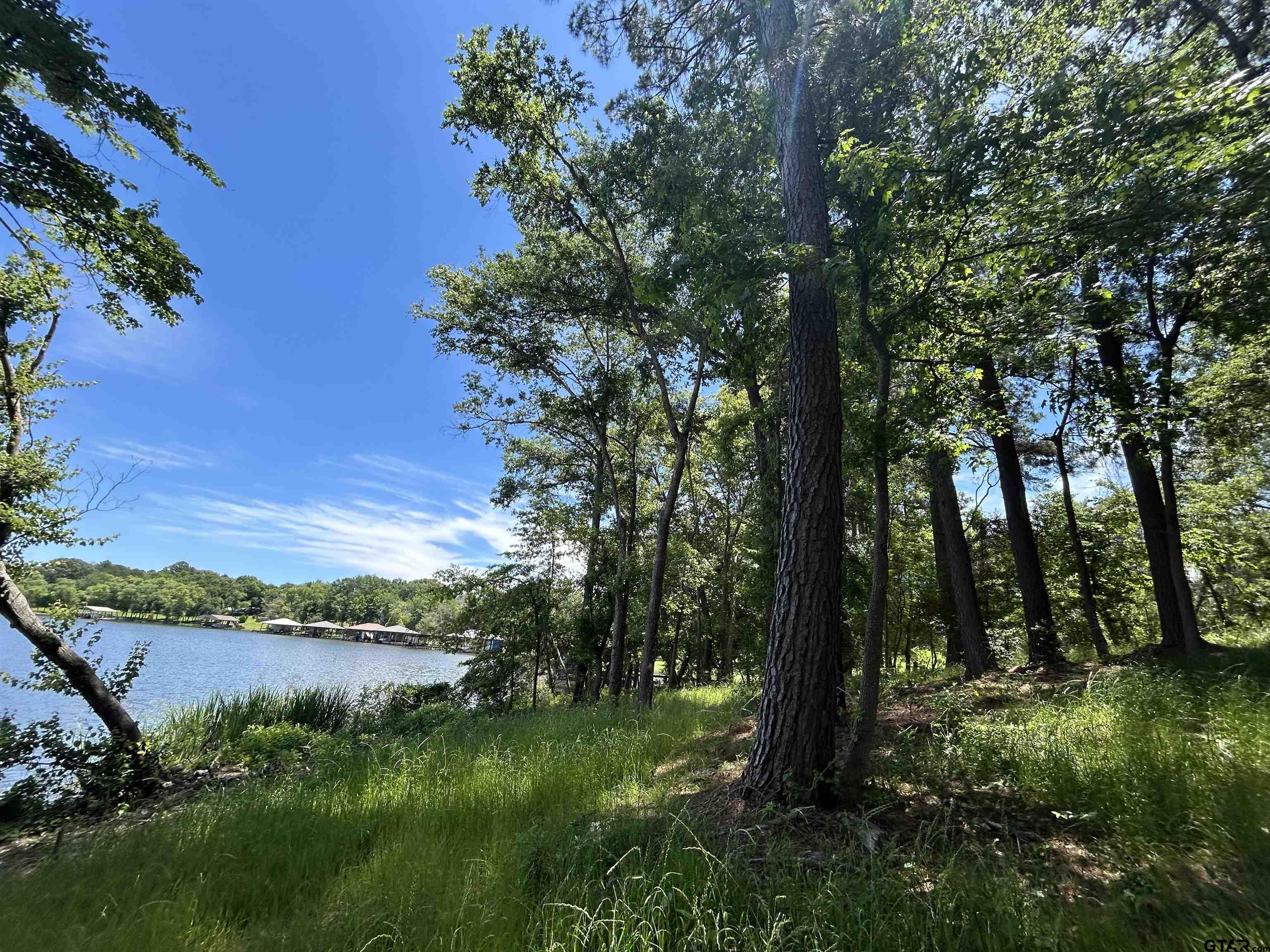 Lot Tr Stevenson Road Frankston, TX 75763 - Photo 6 of 38 a view of a lake with a yard