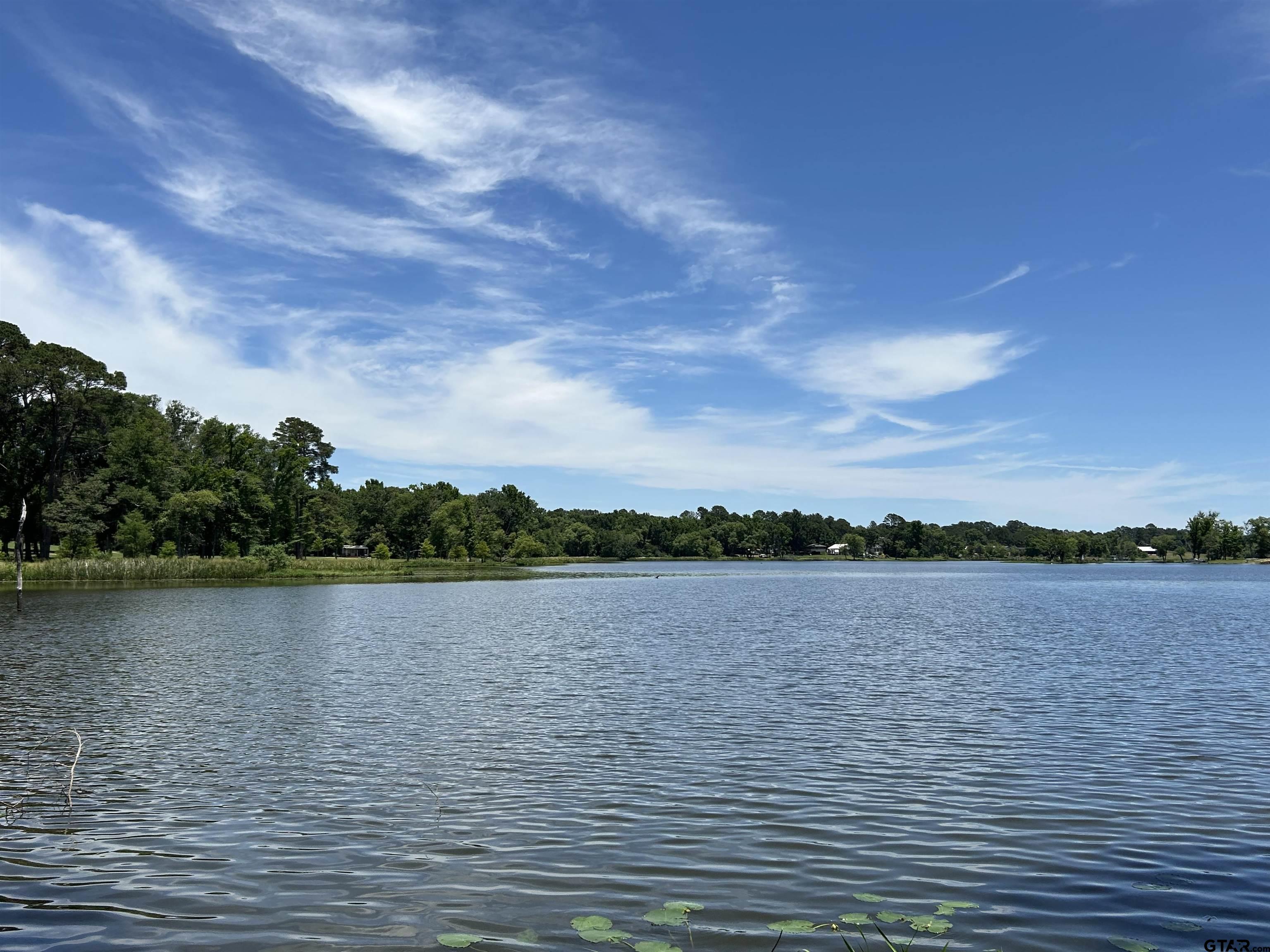 Lot Tr Stevenson Road Frankston, TX 75763 - Photo 8 of 38 a view of outside space and a lake view