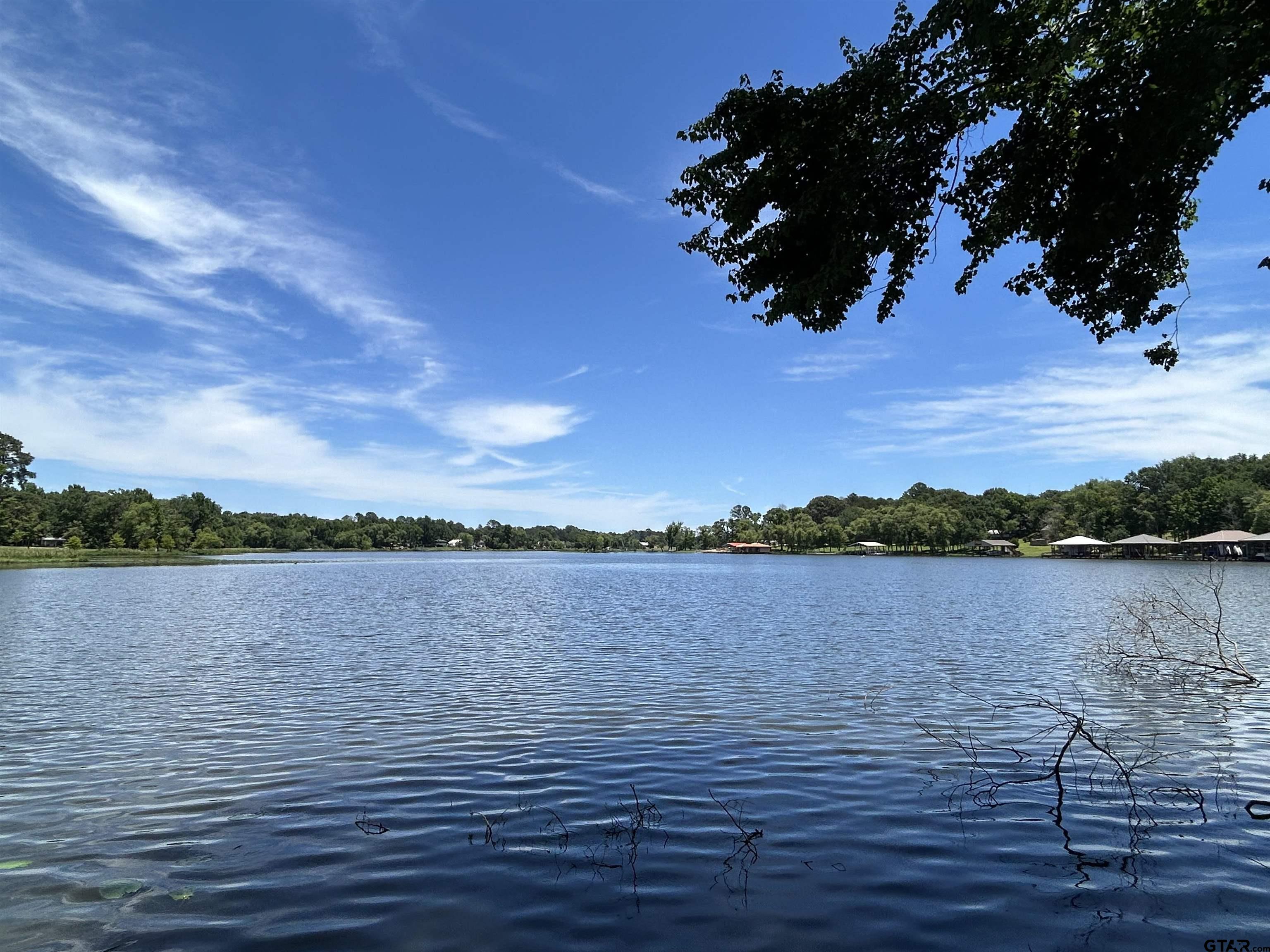 Lot Tr Stevenson Road Frankston, TX 75763 - Photo 9 of 38 a view of lake